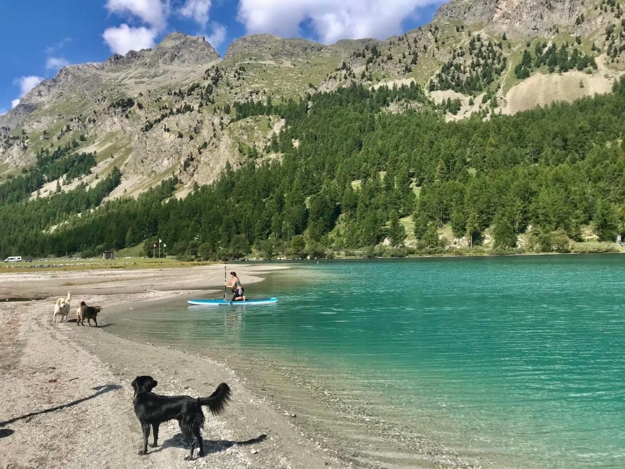 Chesa Ladina-Image-tags.info