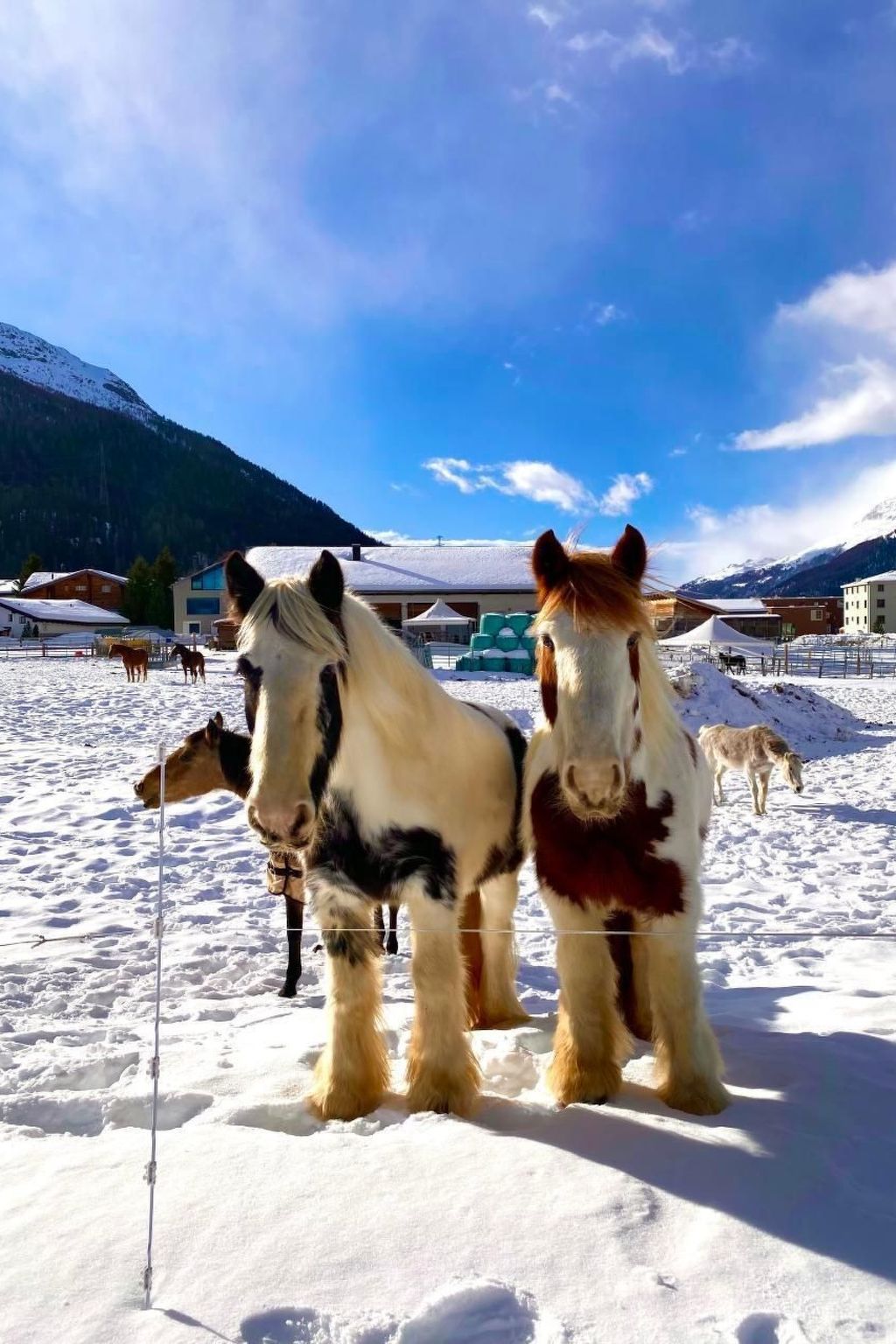 Chesa Ladina-Image-tags.info