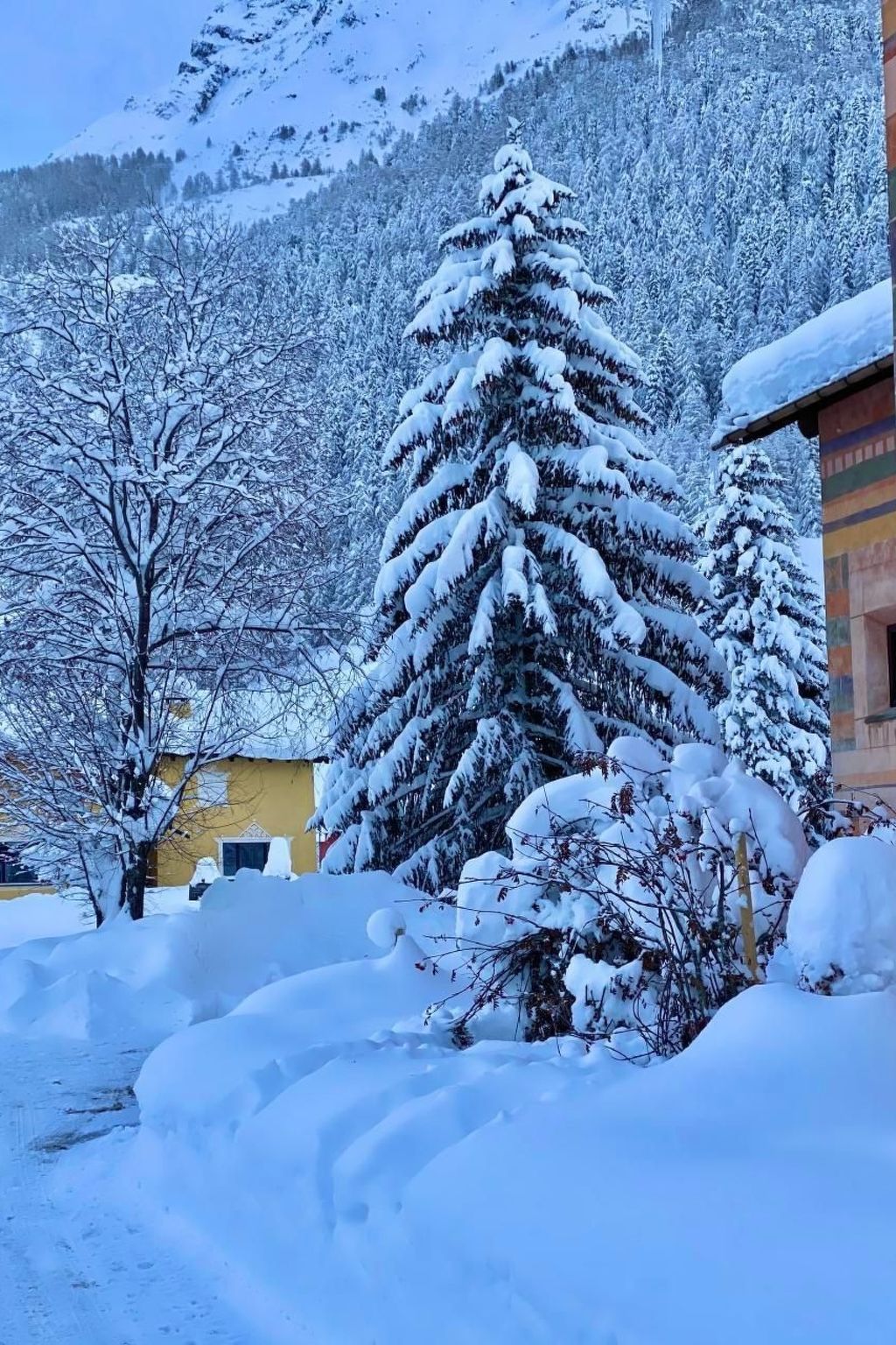 Chesa Ladina-Outside