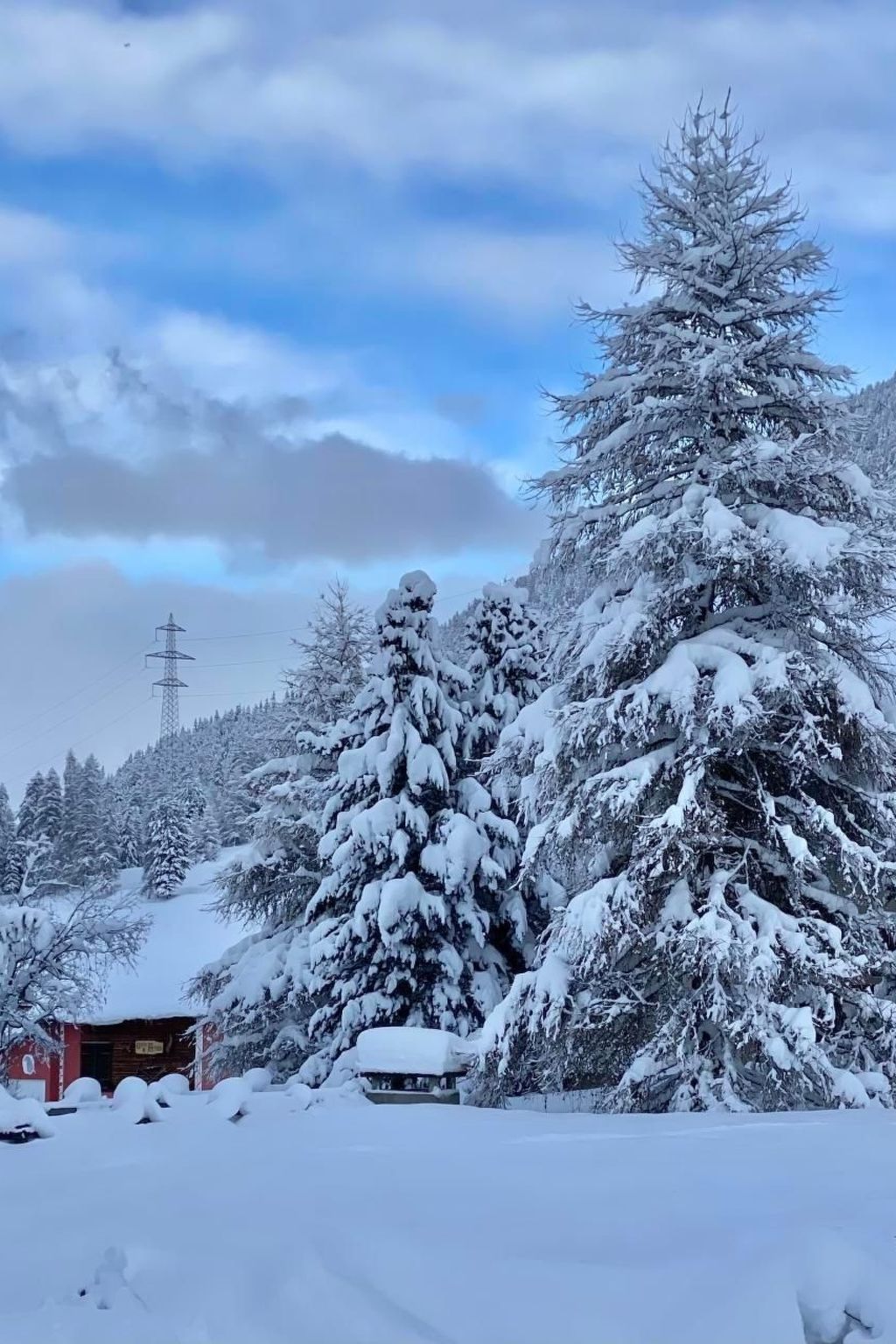 Chesa Ladina-Outside