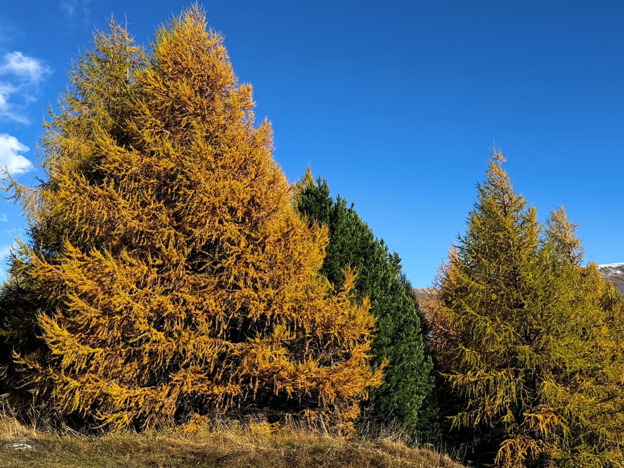 Chesa Blais, 2. OG-Drinnen