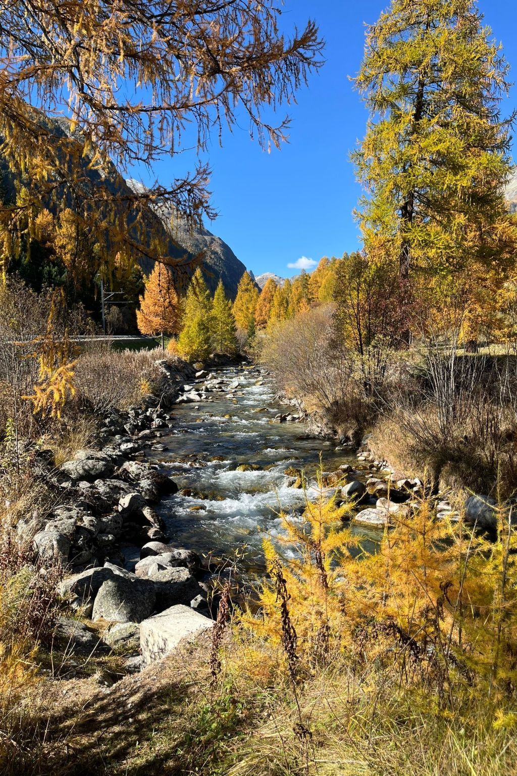 Chesa Schech-Image-tags.info