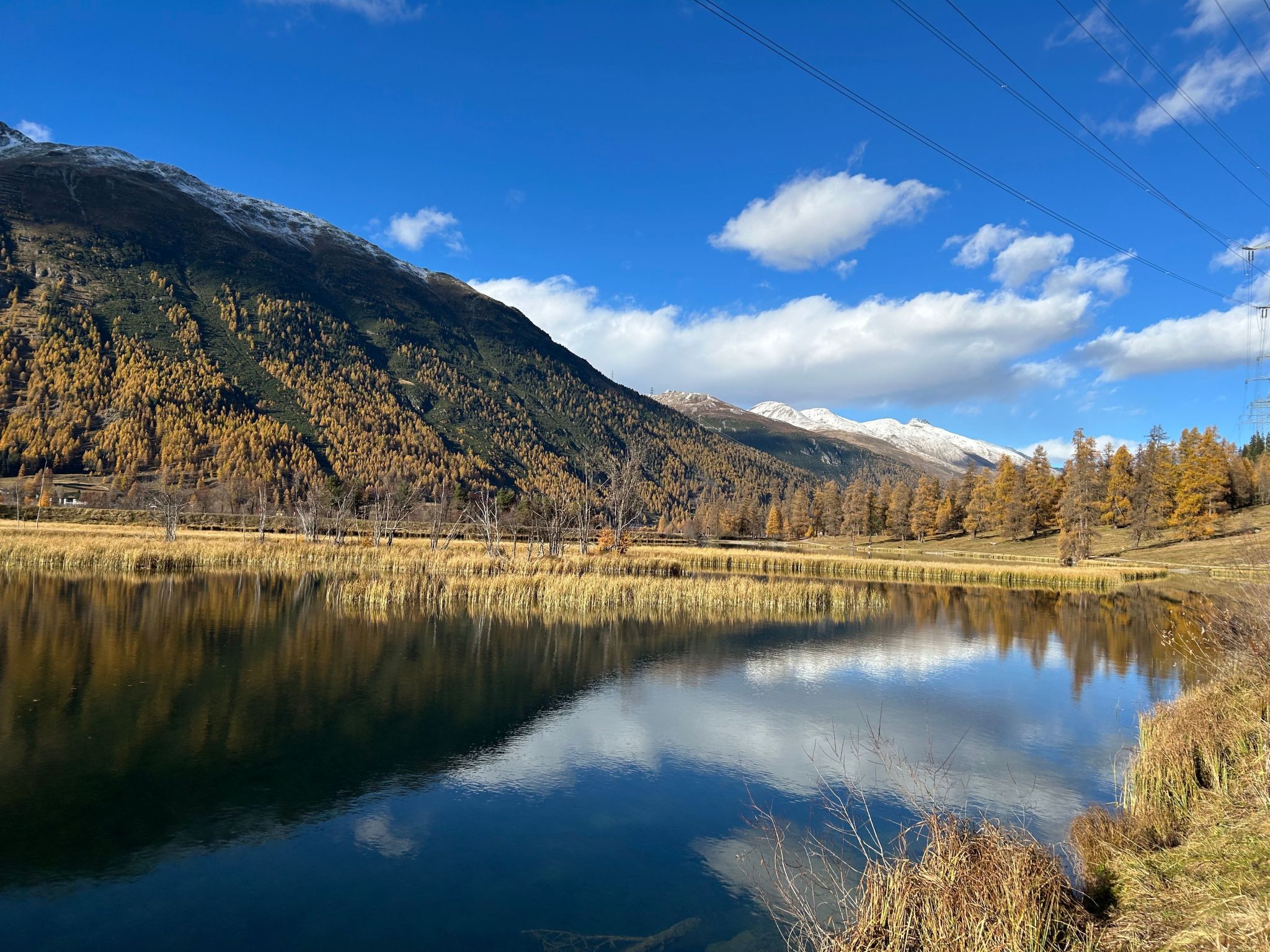 Chesa Schech-Image-tags.info