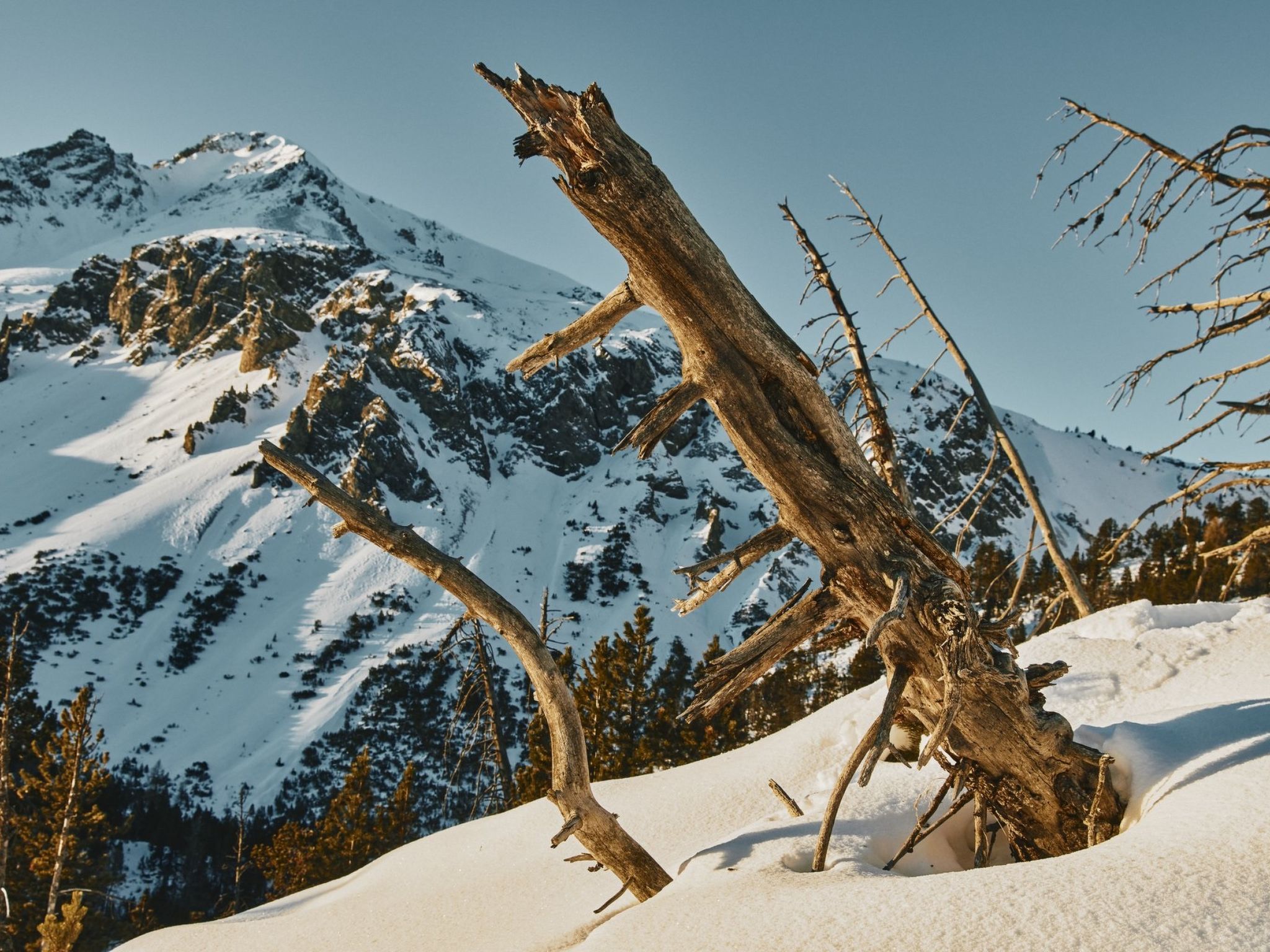Hütte Ova Spin il Cuvel, (Zernez) - Buiten