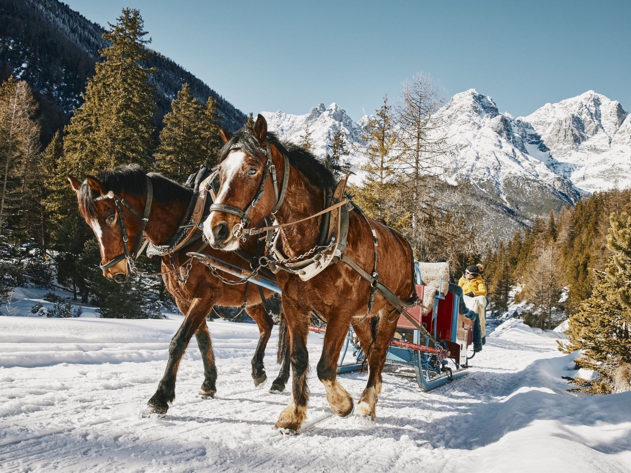 Hütte Ova Spin il Cuvel, (Zernez)