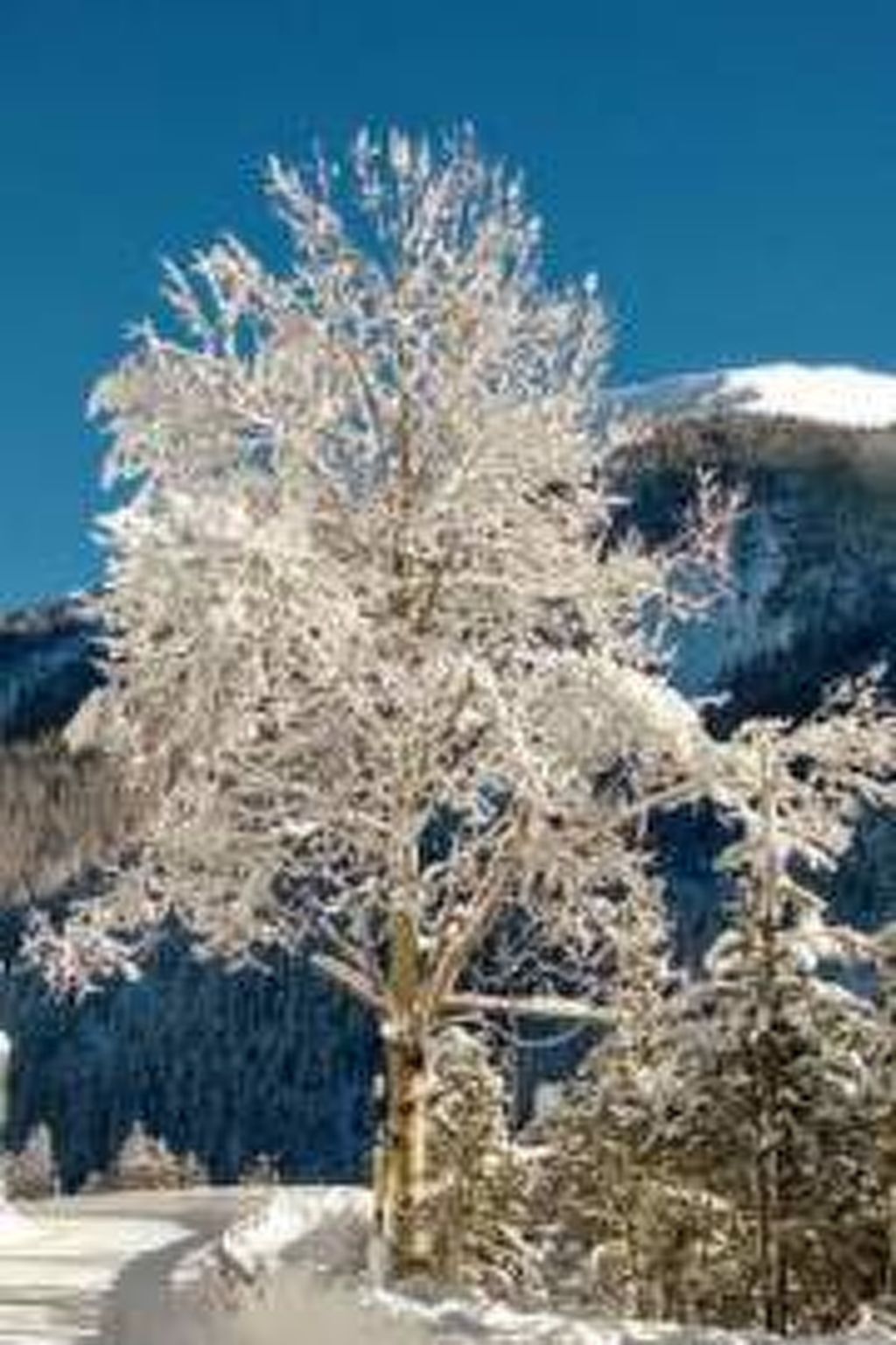 Ferienwohnungen Chasa Muglin 30, (Tschierv). - Image-tags.info