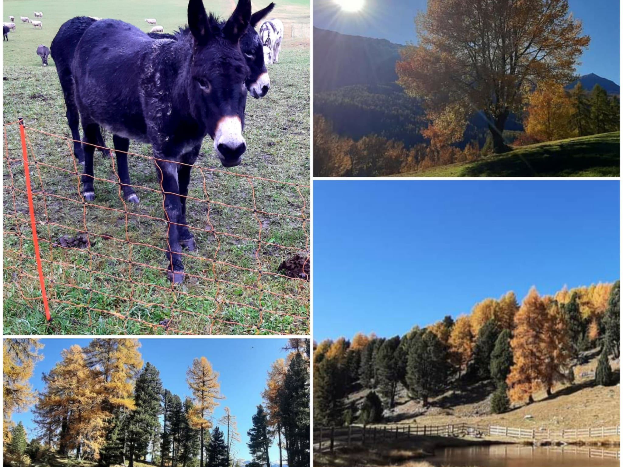 Hinteregger, (Fuldera). - Image-tags.info