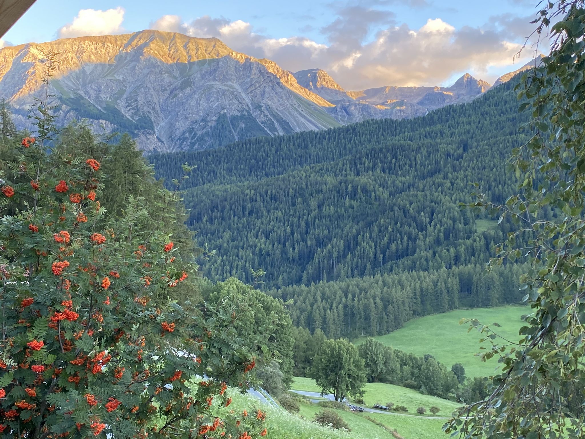 Knusse studio voor 2 aan skipiste en meer in Lü, Engadin - foto 19