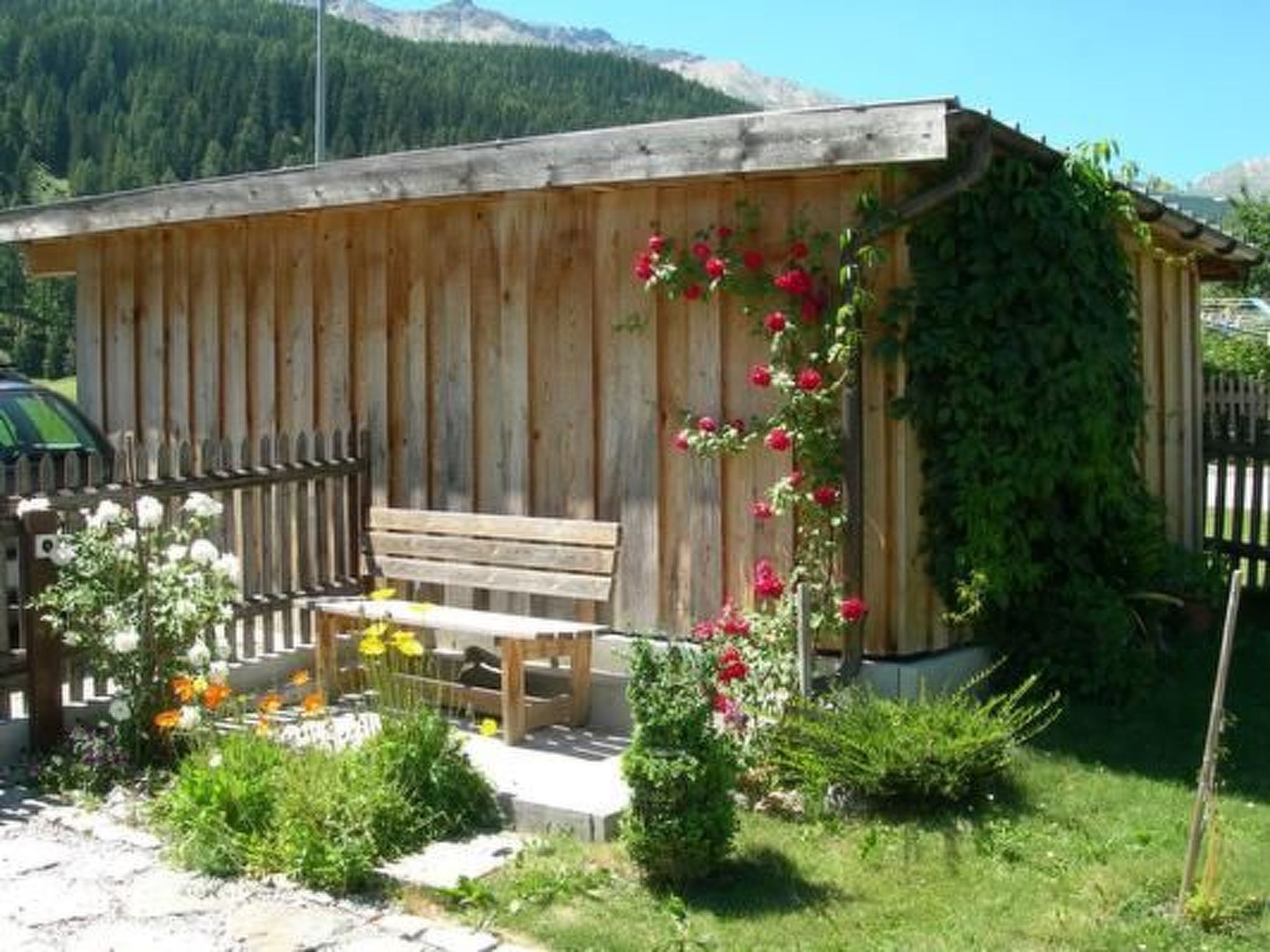 Appartement Melcher Jon & Brigitte - Bauernhaus, (Valchava) – Terrasse, photo 21 sur 22