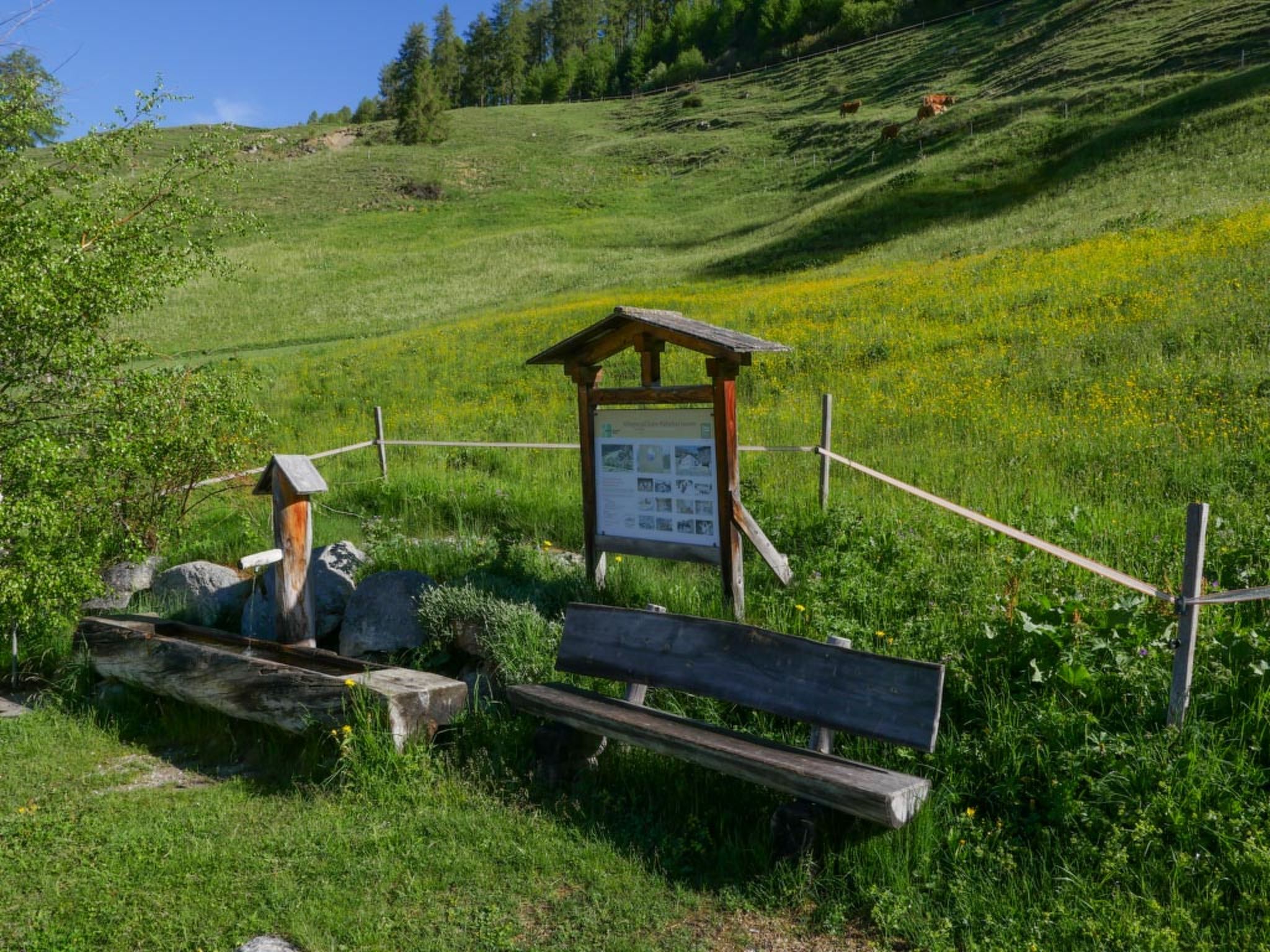 Bergblick-Craistas, (Sta. Maria - Santa Maria Val Müstair) - Buiten