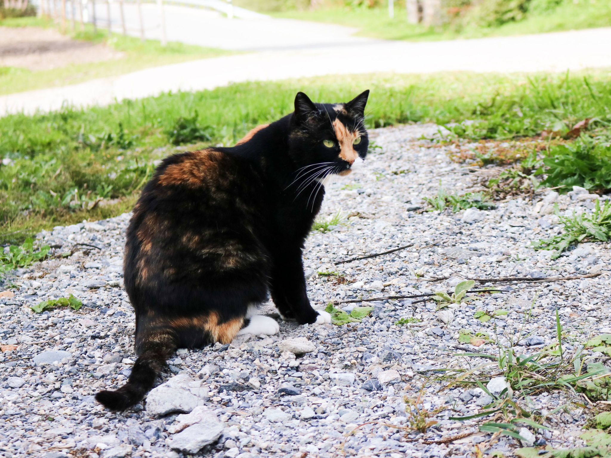 Ferienwohnungen Paclerahof, (Sta. Maria - Santa Maria Val Müstair).