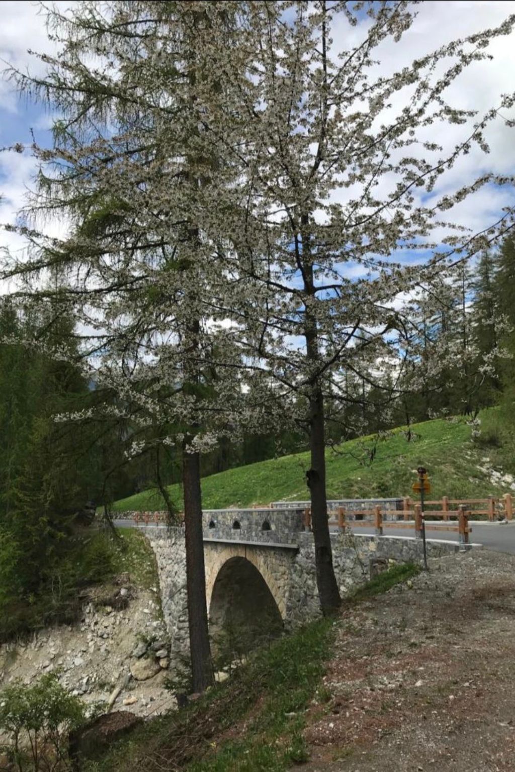 Appartement Anita Spiess, (Sta. Maria - Santa Maria Val Müstair) – Extérieur de la maison, photo 13 sur 18