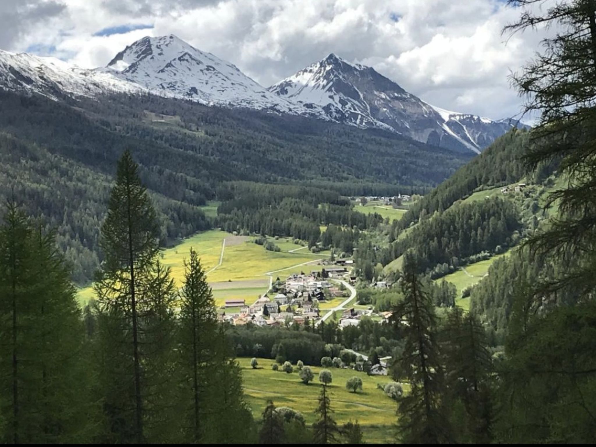 Anita Spiess, (Sta. Maria - Santa Maria Val Müstair) - Buiten