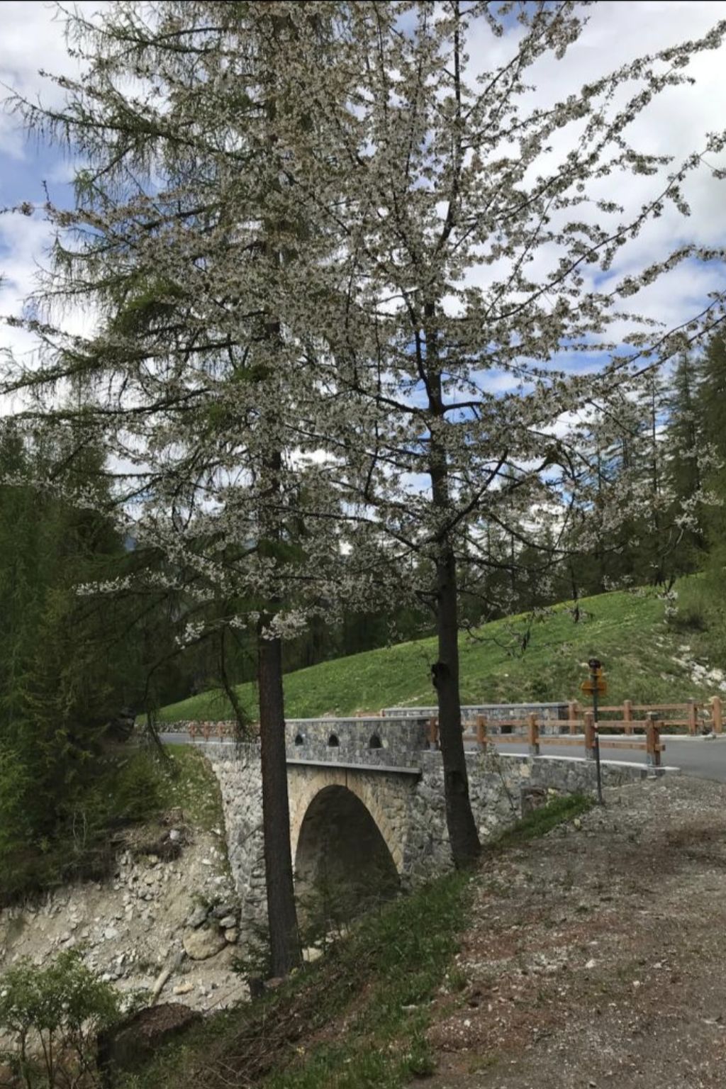 Anita Spiess, (Sta. Maria - Santa Maria Val Müstair) - Buiten