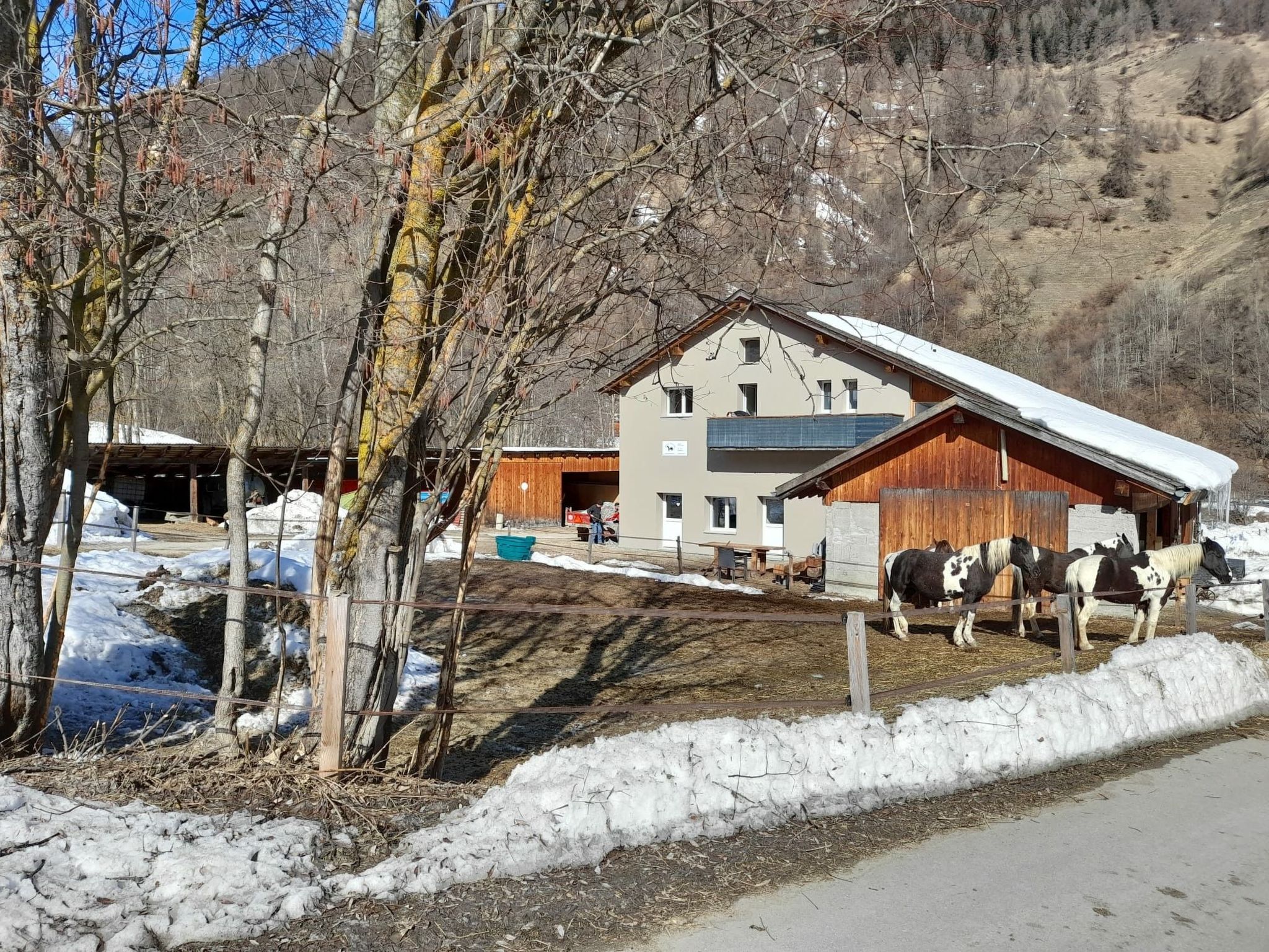 Appartement Ferienwohnungen Paclerahof, (Sta. Maria - Santa Maria Val Müstair) – Terrasse, photo 5 sur 26