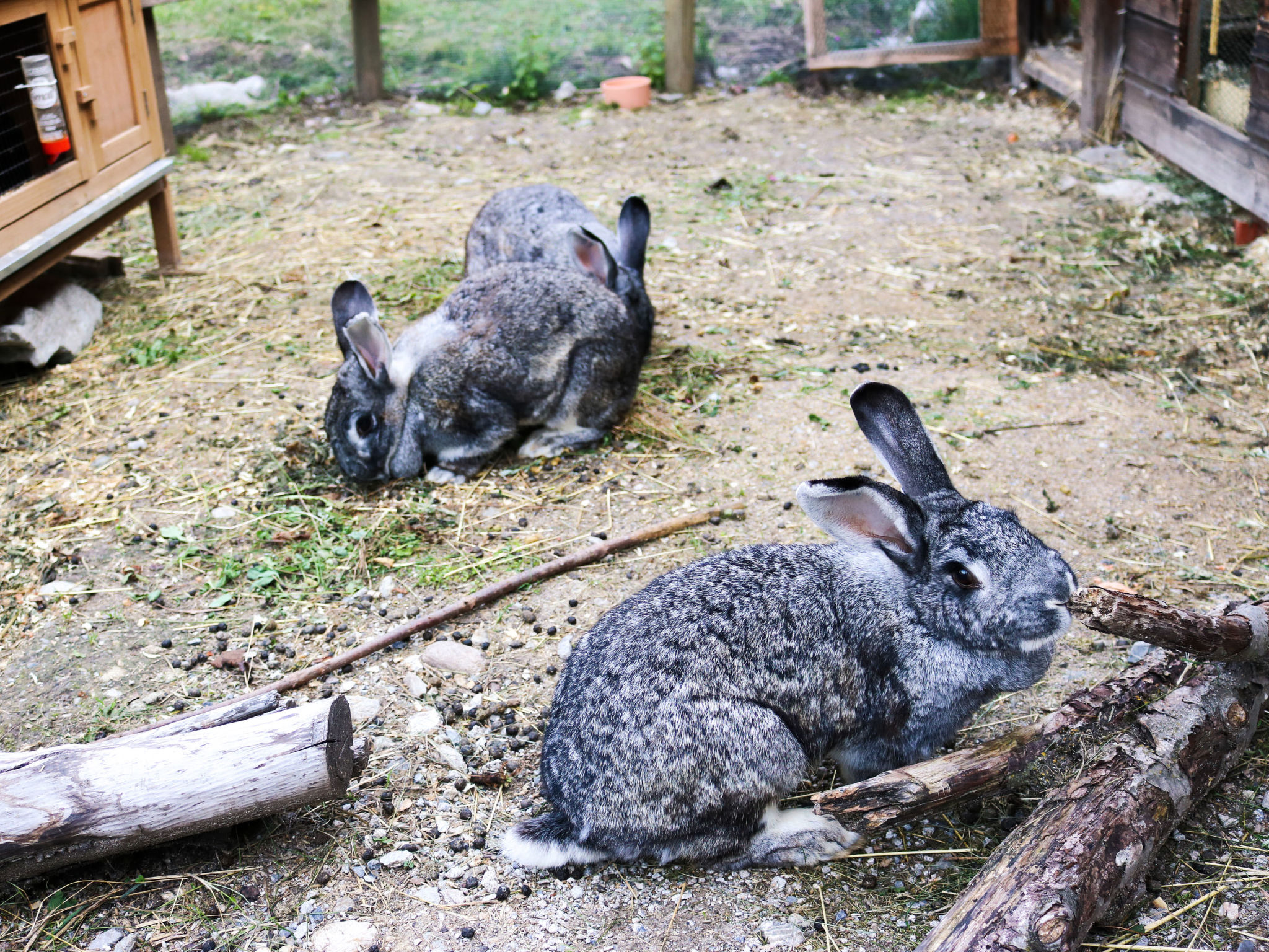 Ferienwohnungen Paclerahof, (Sta. Maria - Santa Maria Val Müstair).