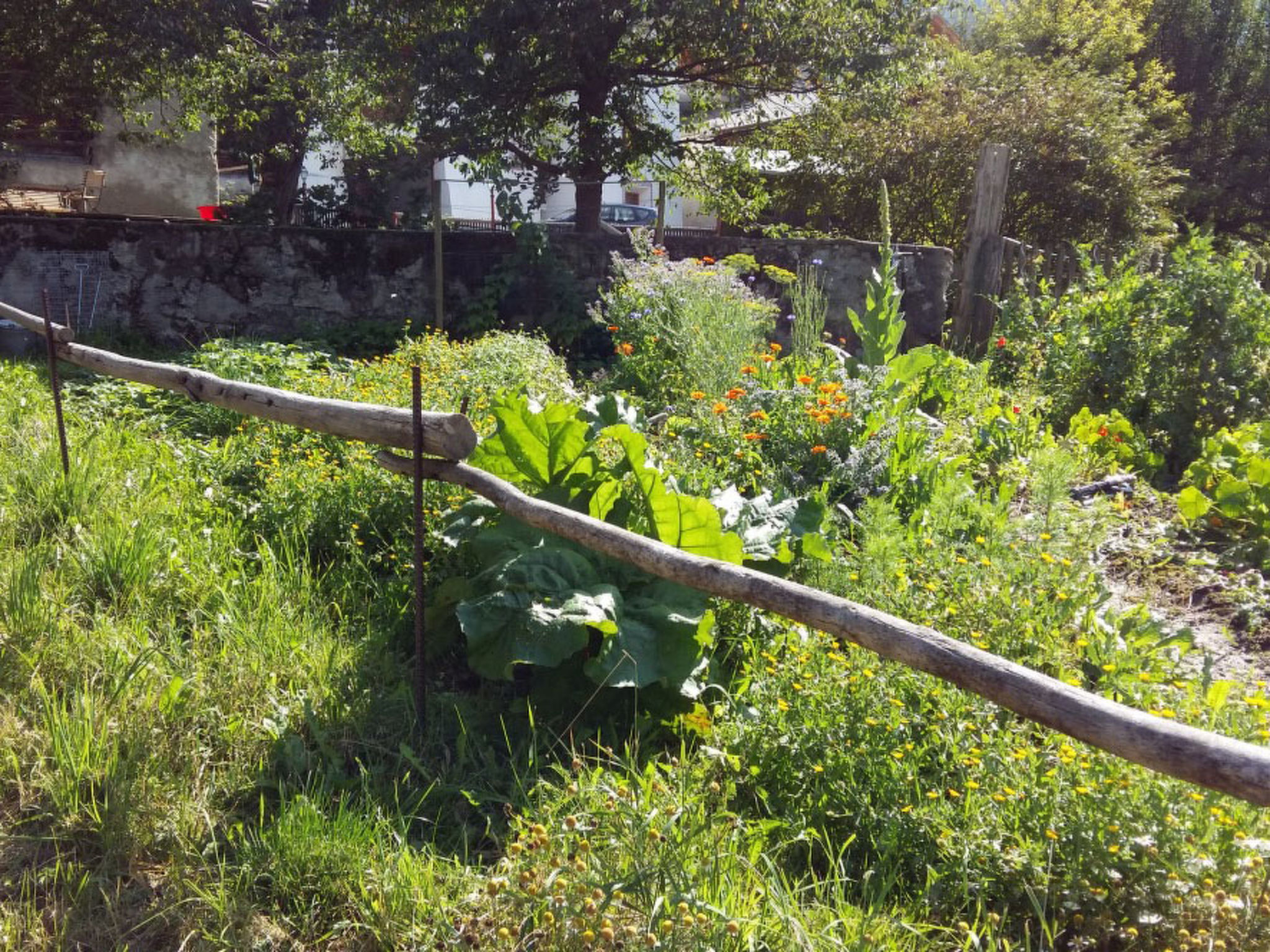 Banca Veglia, (Sta. Maria - Santa Maria Val Müstair).