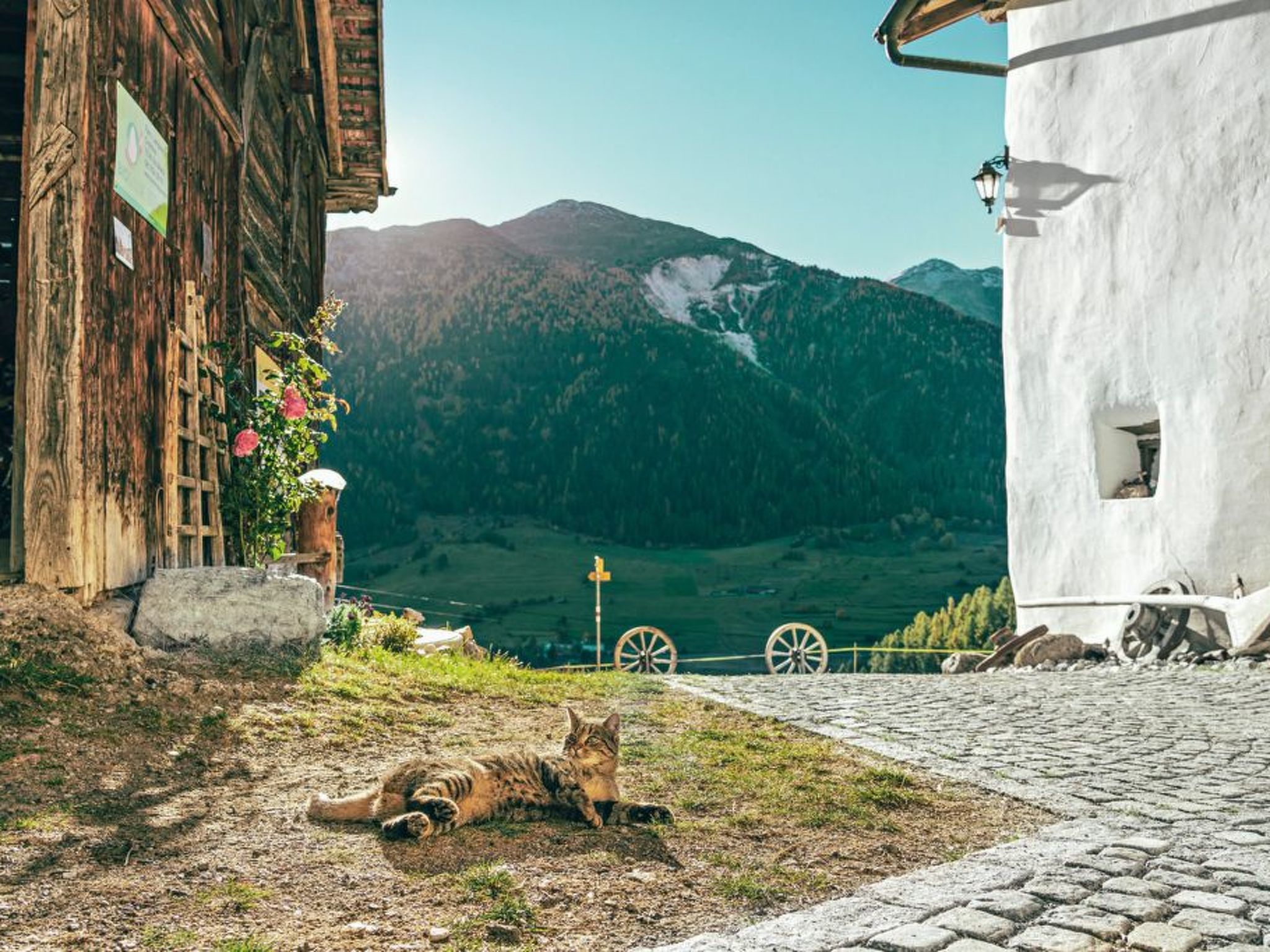 Appartement Agrotourismus Pütschai Josom, (Sta. Maria - Santa Maria Val Müstair) – Extérieur de la maison, photo 10 sur 24
