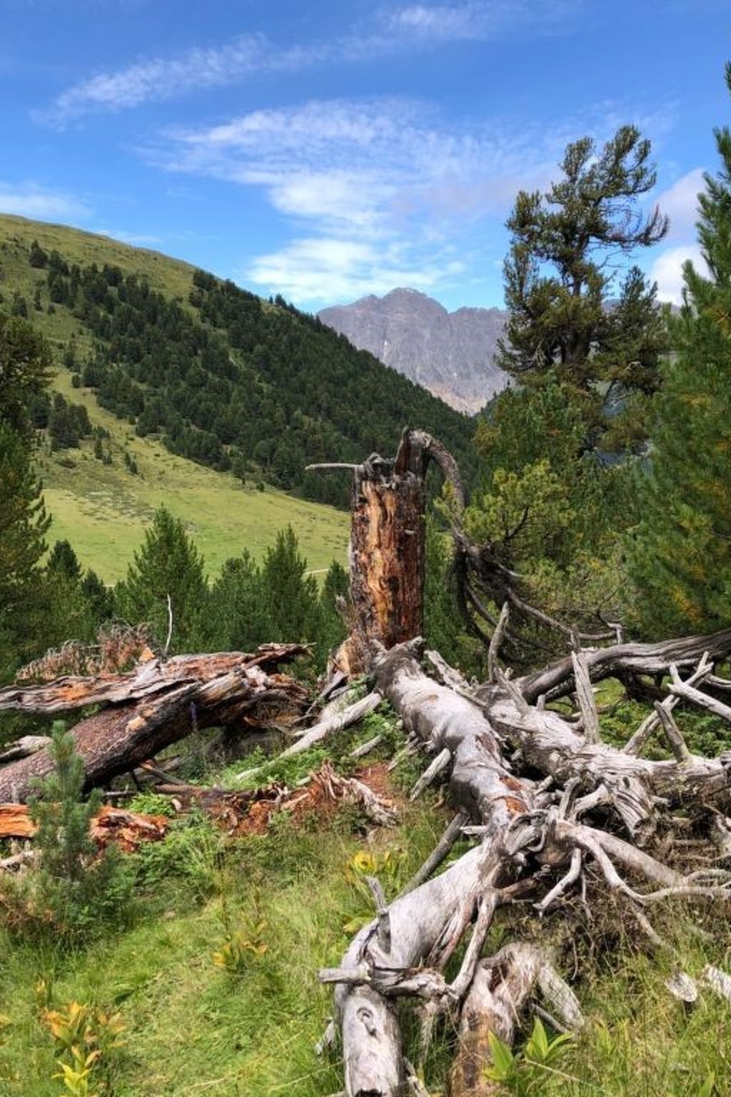 Ferienhaus Chasa Refugi, (Müstair) - Buiten