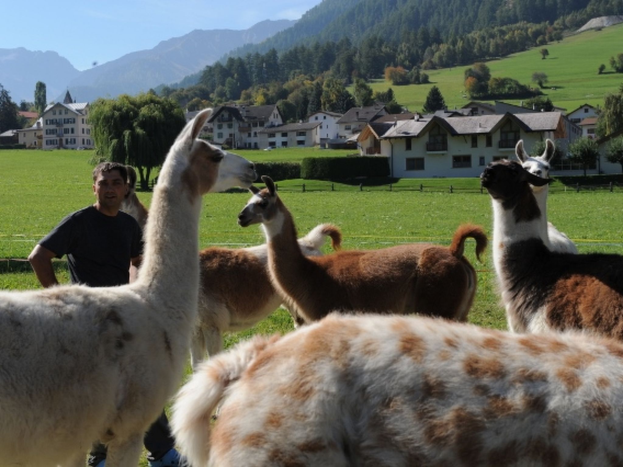 Agrotourismus Bauernhof Puntetta, (Müstair) - Buiten