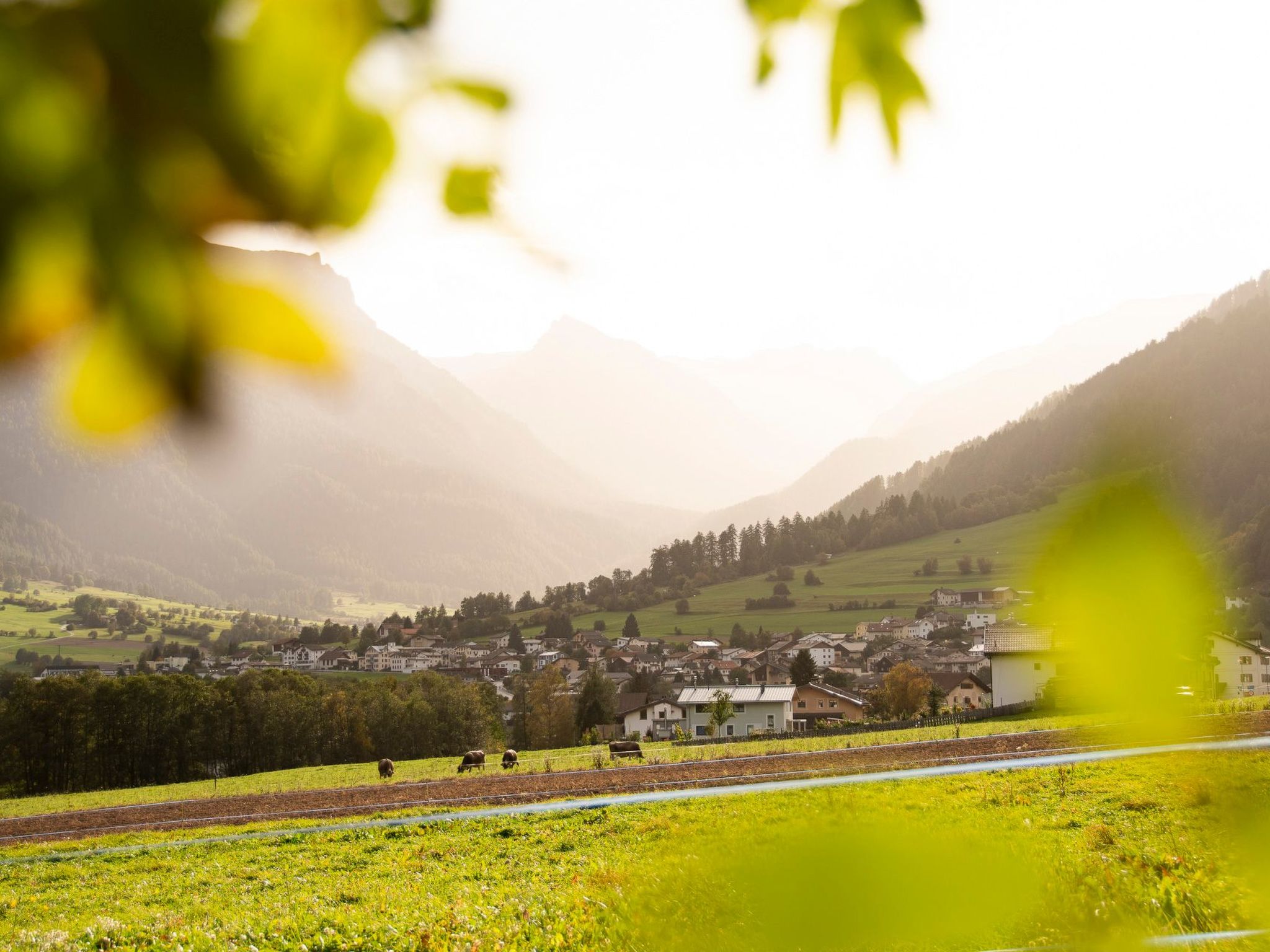 Schaivel, (Müstair) - Buiten