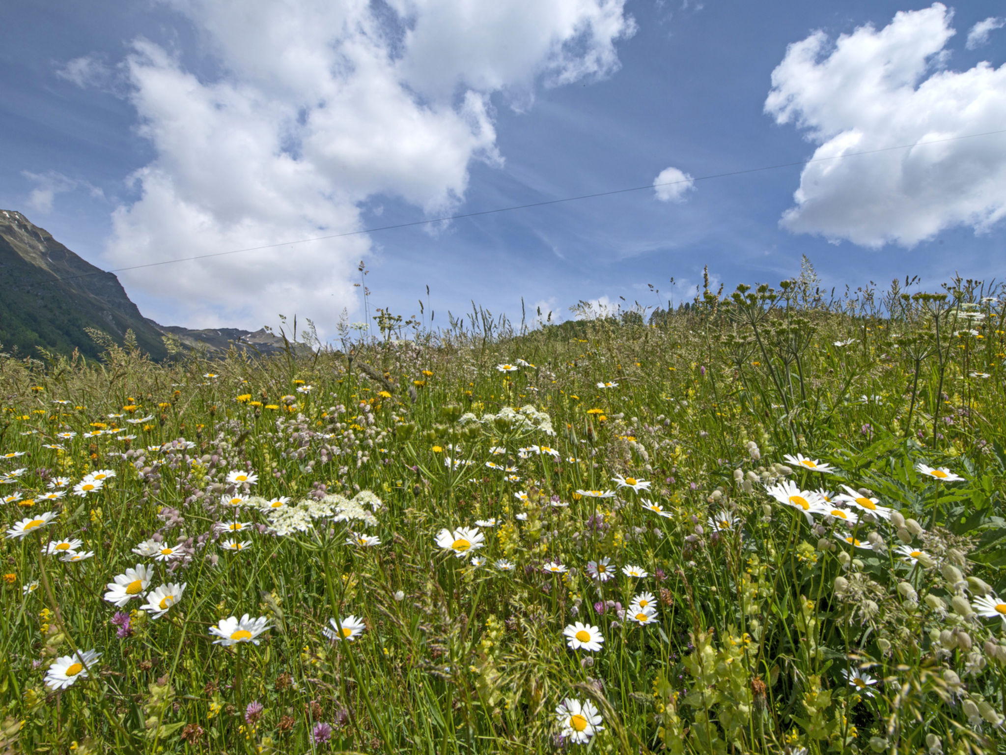 Chasa Tablà, (Guarda). - Buiten