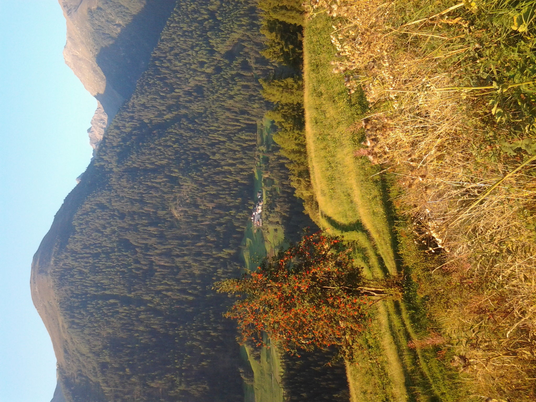 Chasa Crusch 117, (Ardez). - Buiten