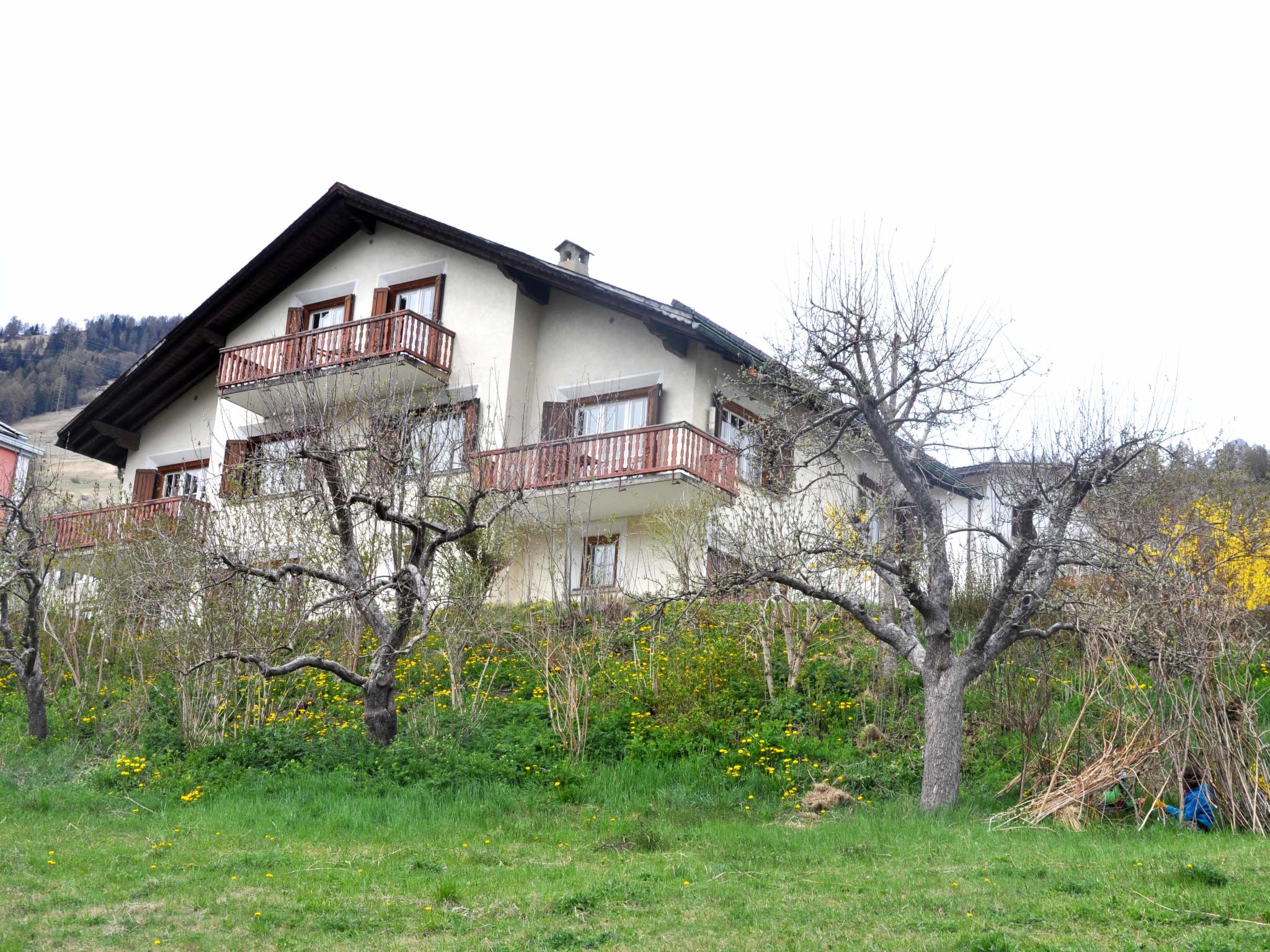 Ferienhaus Chasa Allegra, (Scuol) - Dehors