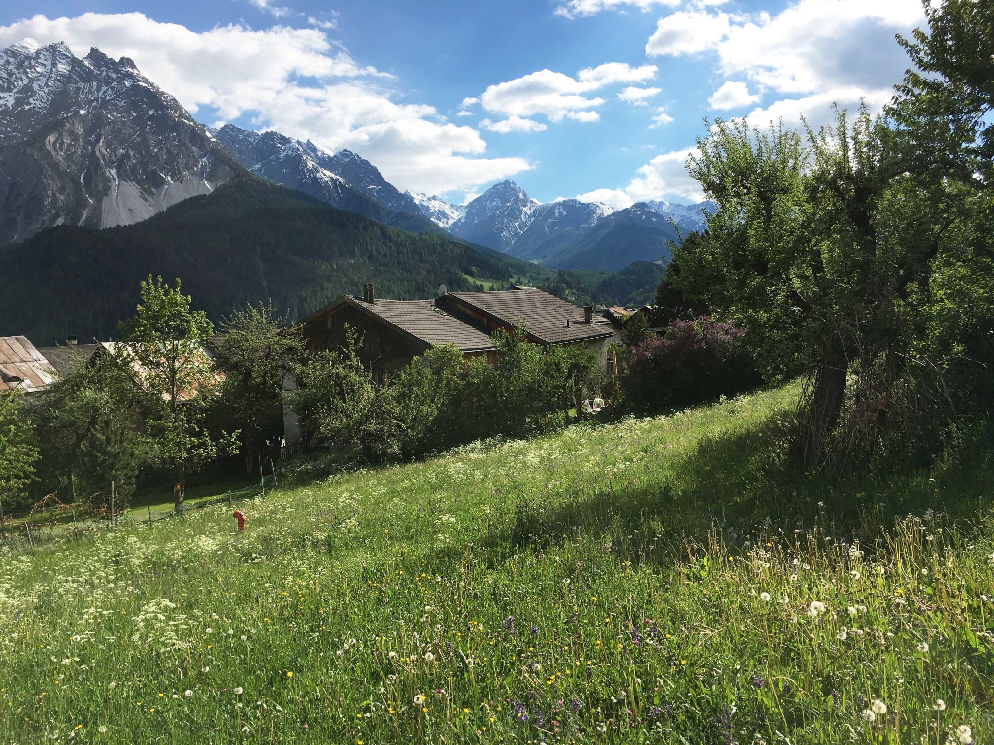 Ferienhaus Chasa Allegra, (Scuol) - Dehors