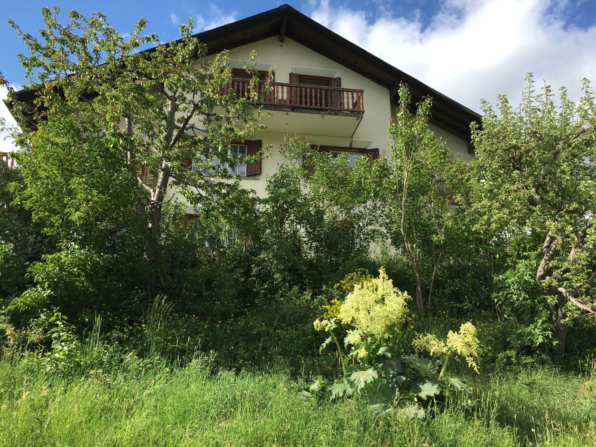 Ferienhaus Chasa Allegra, (Scuol) - Dehors