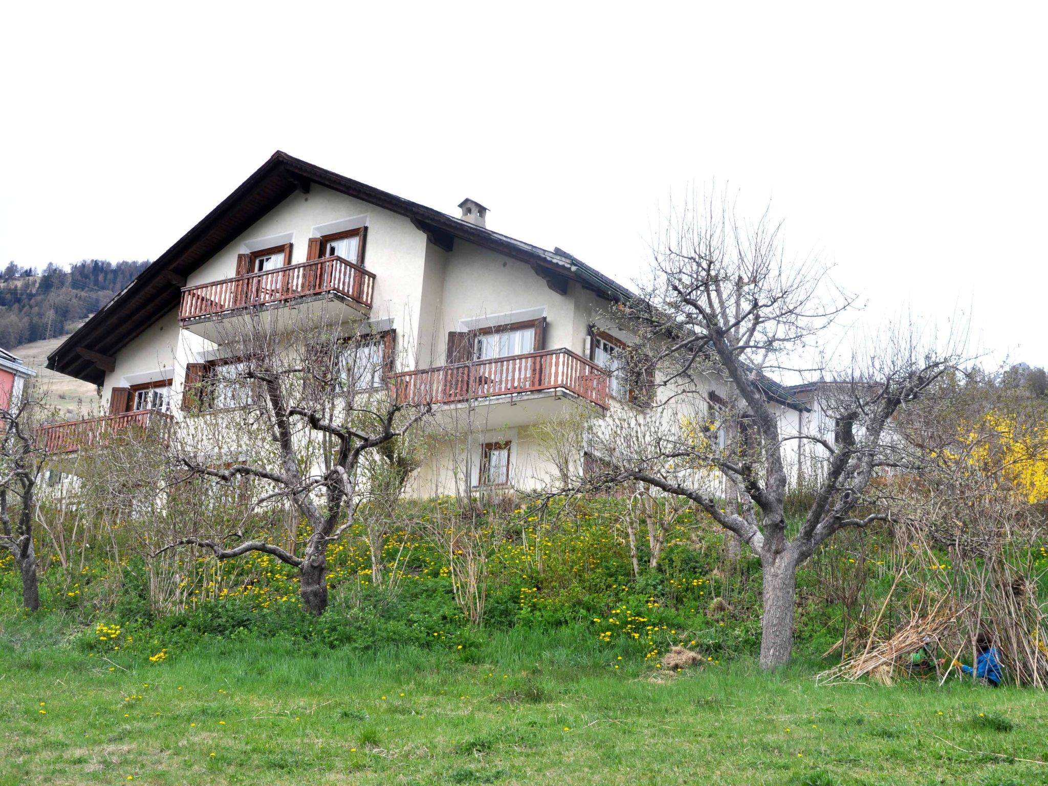 Appartement Ferienhaus Chasa Allegra, (Scuol) – Extérieur de la maison, photo 12 sur 31
