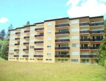 Knus appartement in Scuol, direct aan skipiste en bergmeer - thumbnail 1