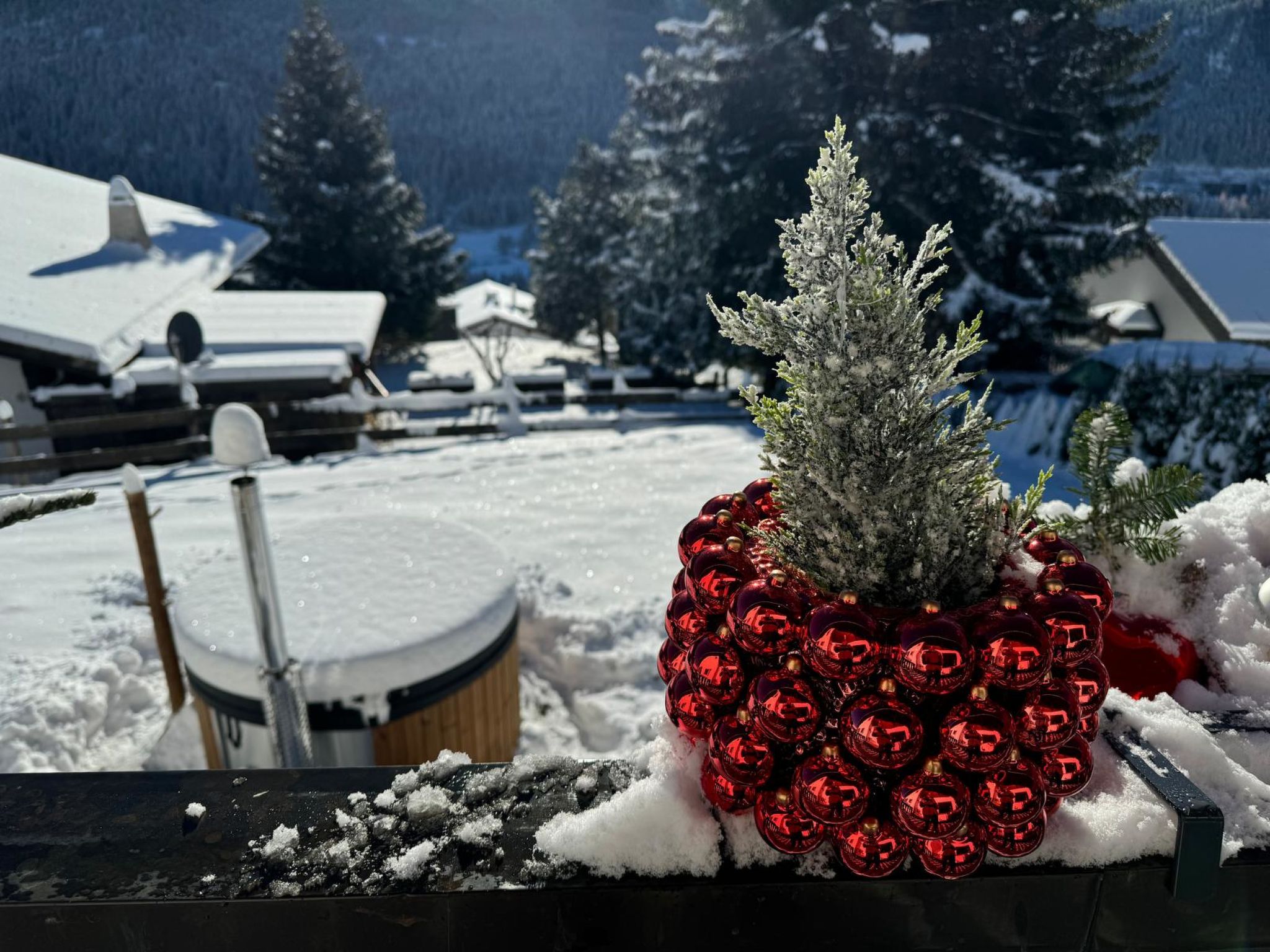 Berg-Bijou Scuol, (Scuol) - Buiten