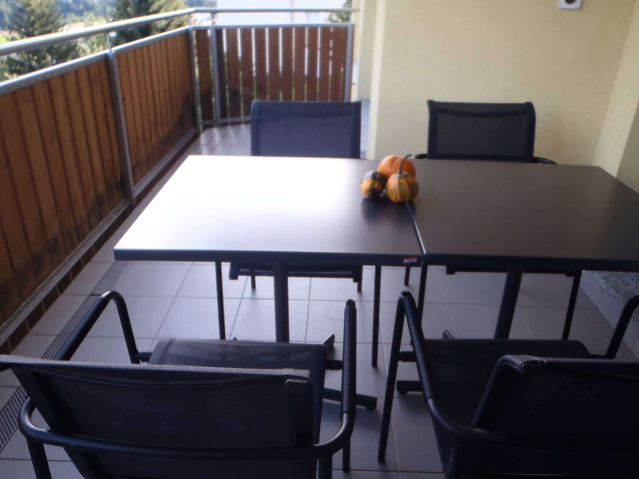 Appartement Via da Liuns 790, (Scuol) – Terrasse, photo 15 sur 18