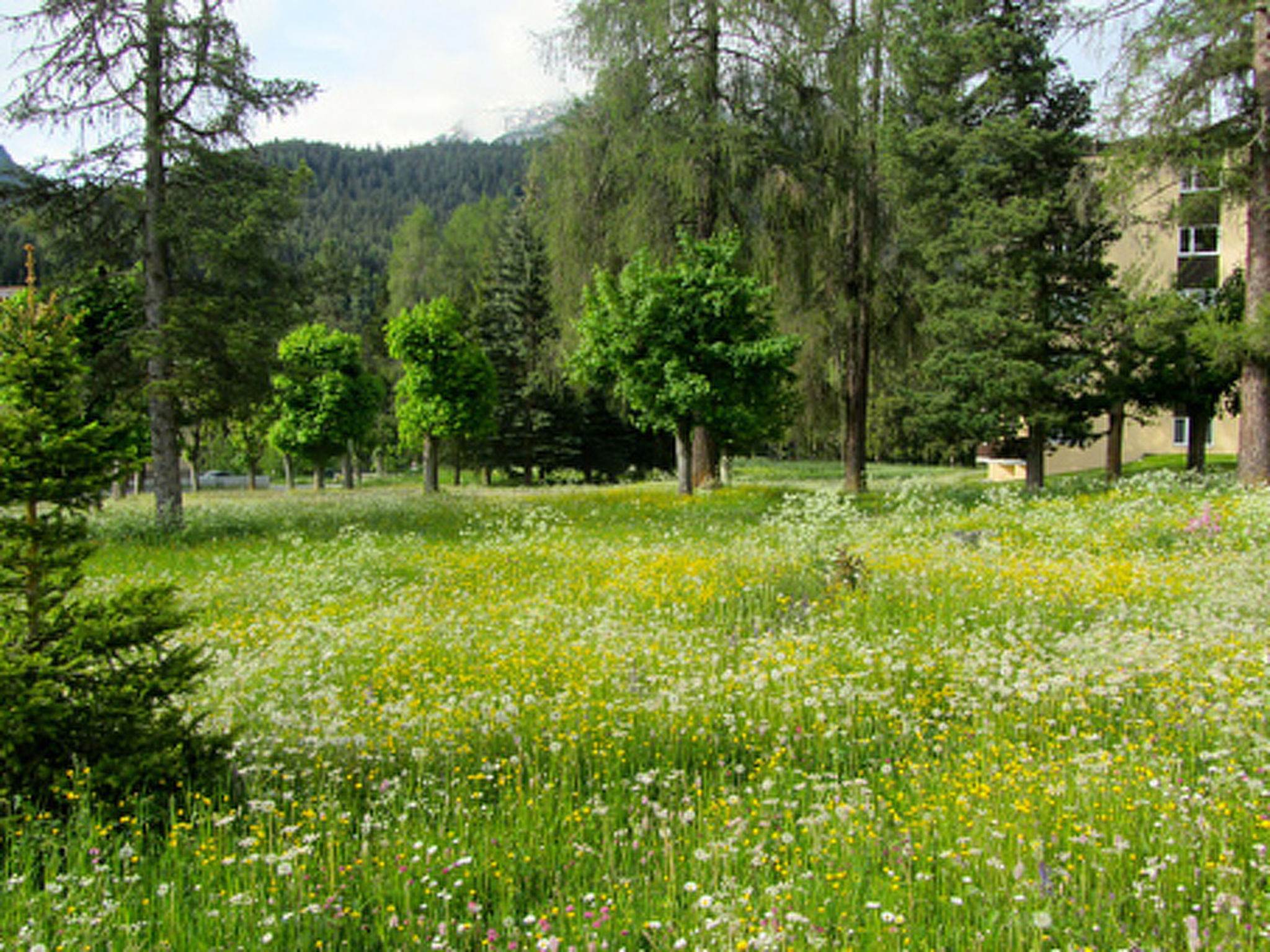 Brentsch Park, (Scuol) - Buiten