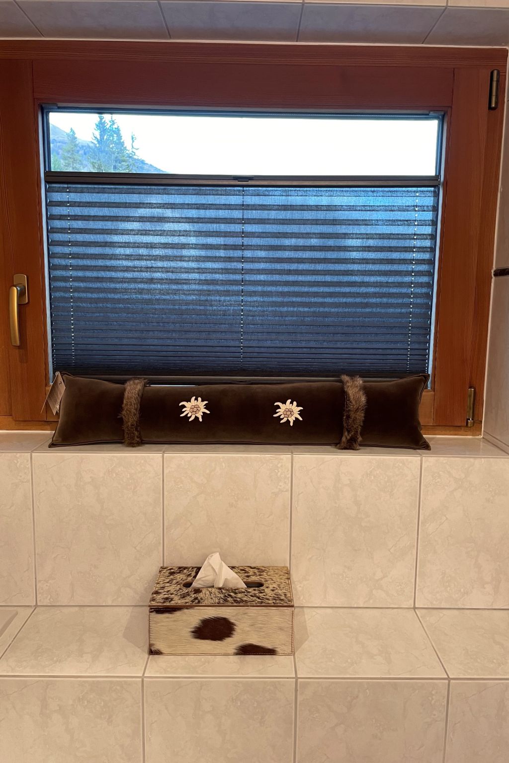 Meis Chalet, (Scuol) - Draußen