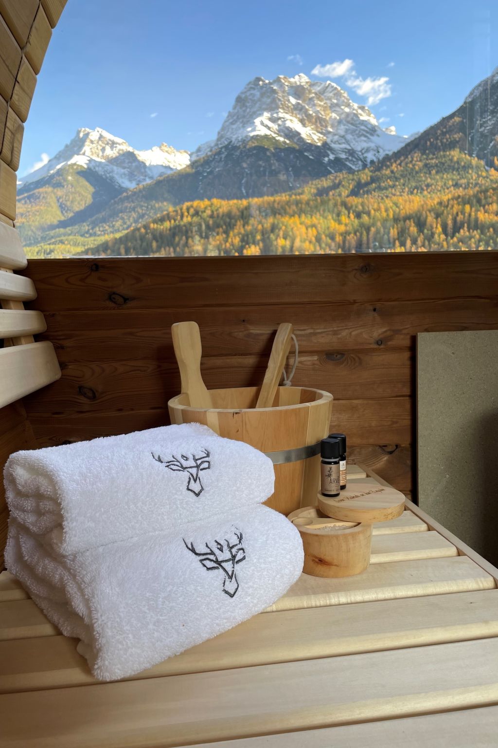 Meis Chalet, (Scuol) - Drinnen
