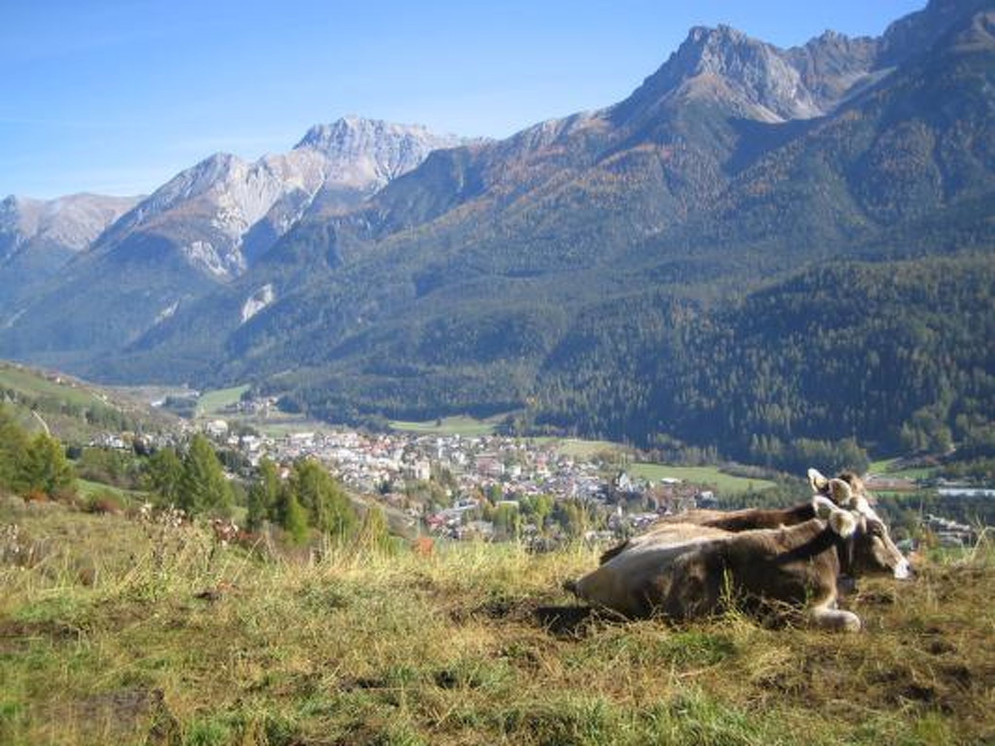 Aquileia****, (Scuol). - Image-tags.info