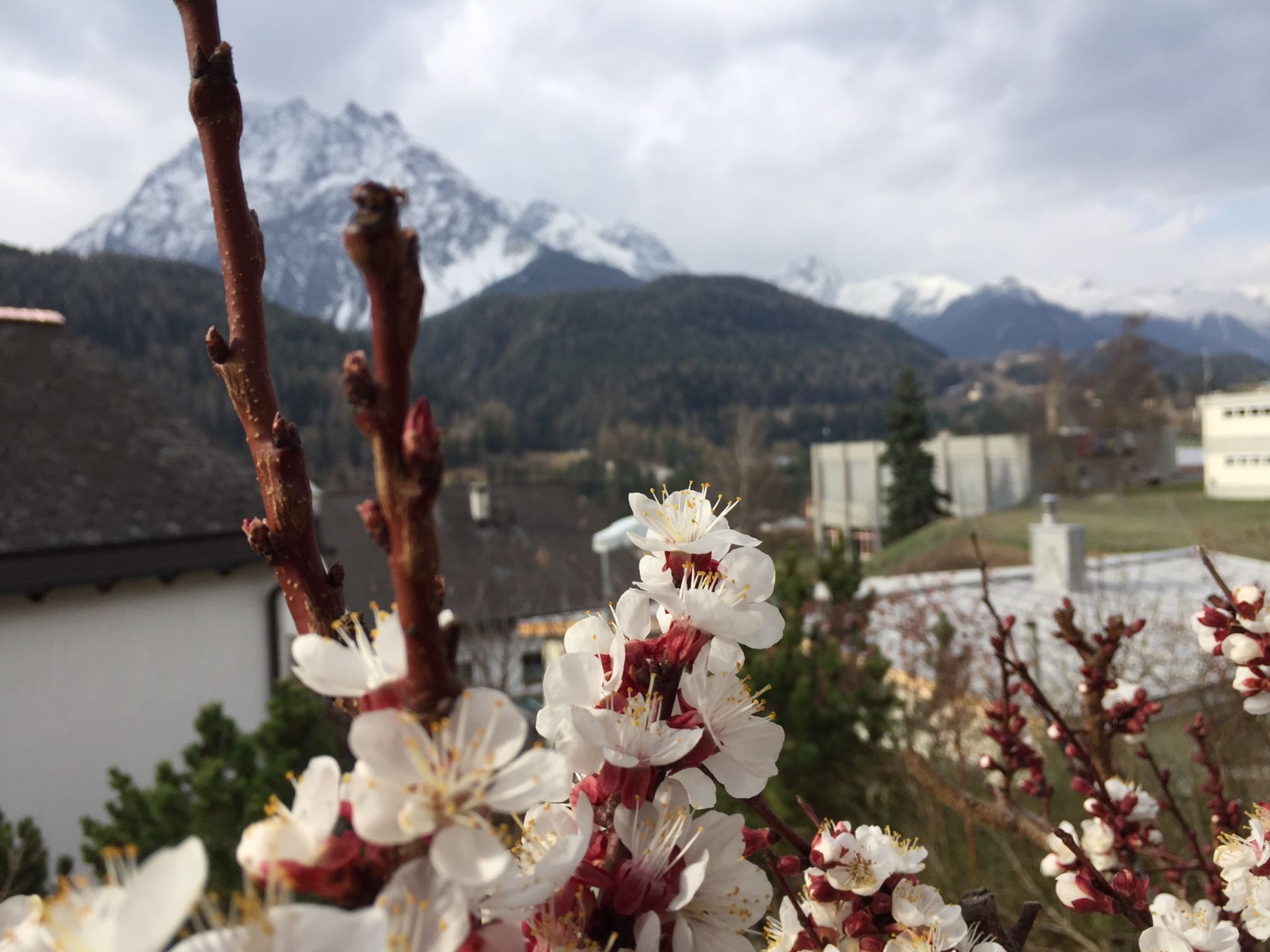 Chasa Bazzi, (Scuol) - Buiten