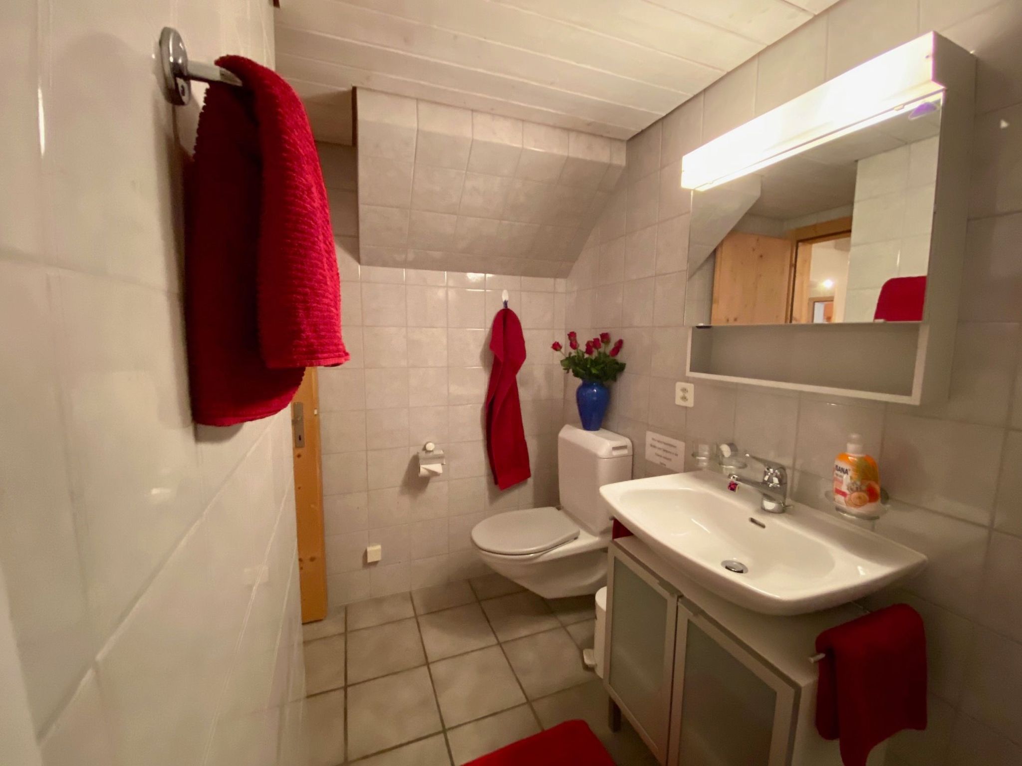 Appartement Chasa Bazzi, (Scuol) – Salle de bains, photo 49 sur 49