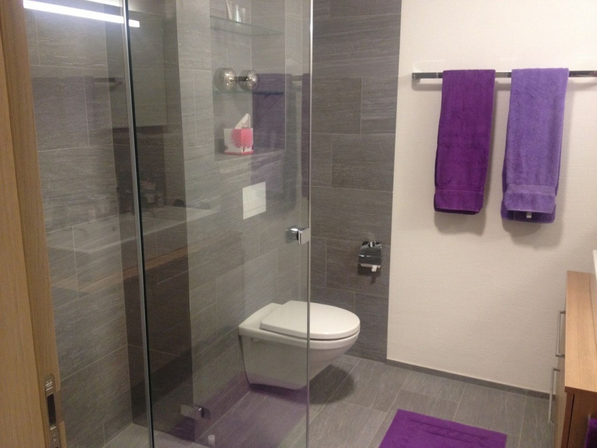 PANORAMA LODGE, (Scuol). - Inside