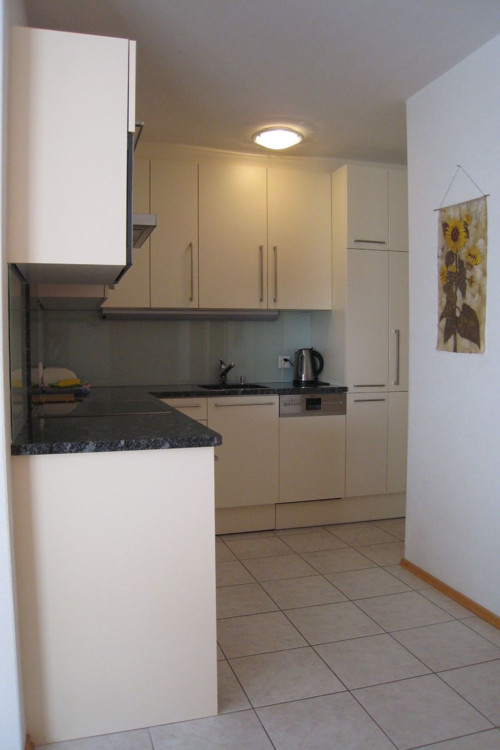 Appartement Chasa Schmidt, (Scuol) – Cuisine et coin repas, photo 10 sur 19