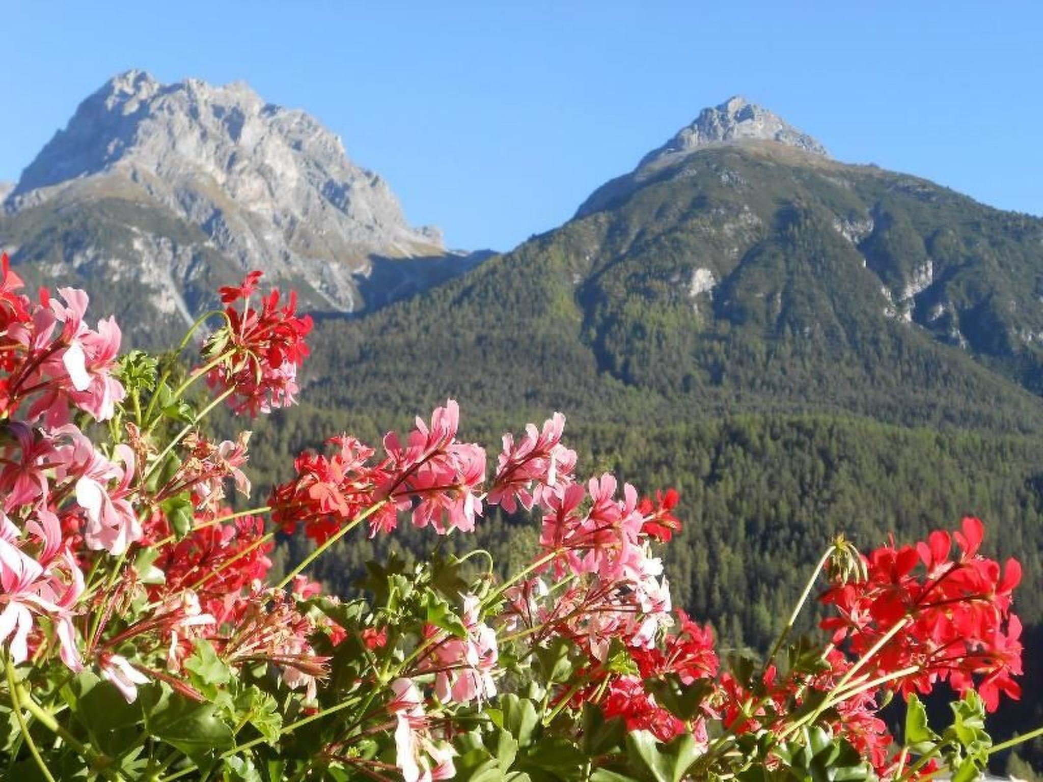 Appartement STEINMANN, (Scuol) – Extérieur de la maison, photo 23 sur 23