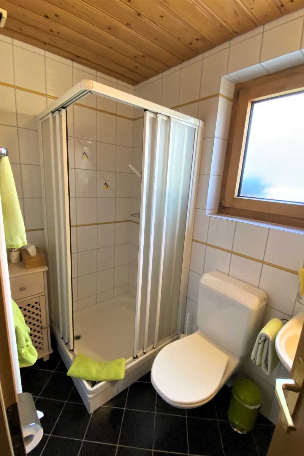 Ferienwohnungen Senda 495D, (Scuol). - Binnen