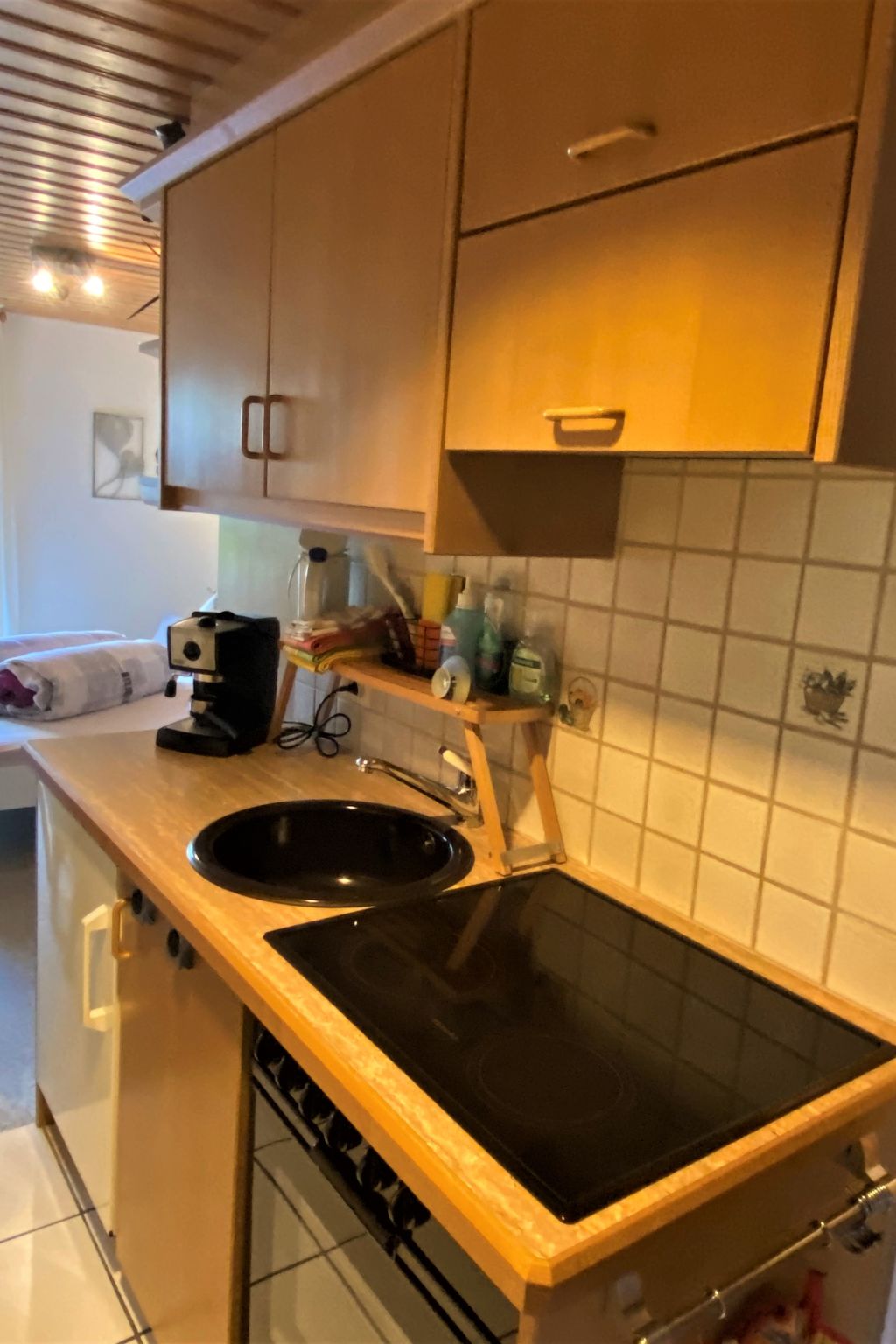 Ferienwohnungen Senda 495D, (Scuol). - Binnen