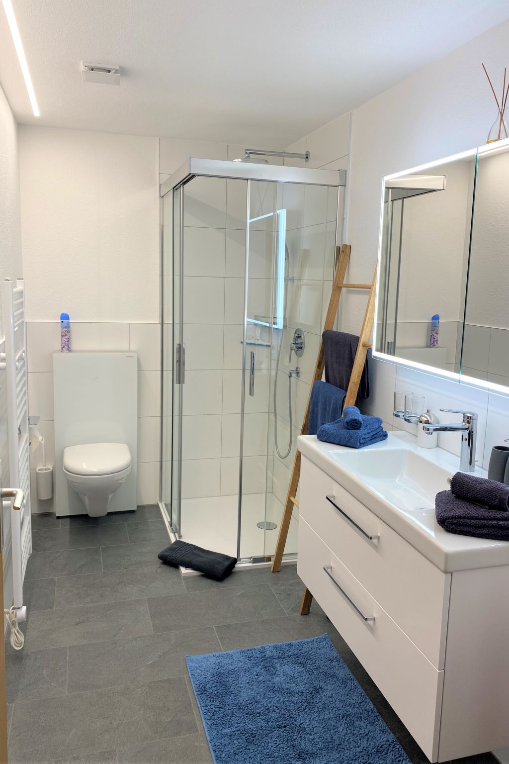 Ferienwohnungen Senda 495D, (Scuol). - Binnen