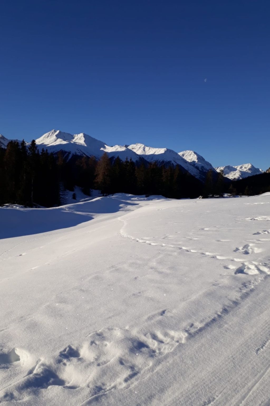 Chasa Cumulus/DG Ferienwohnung Sainas 139 A, (Ftan). - Buiten