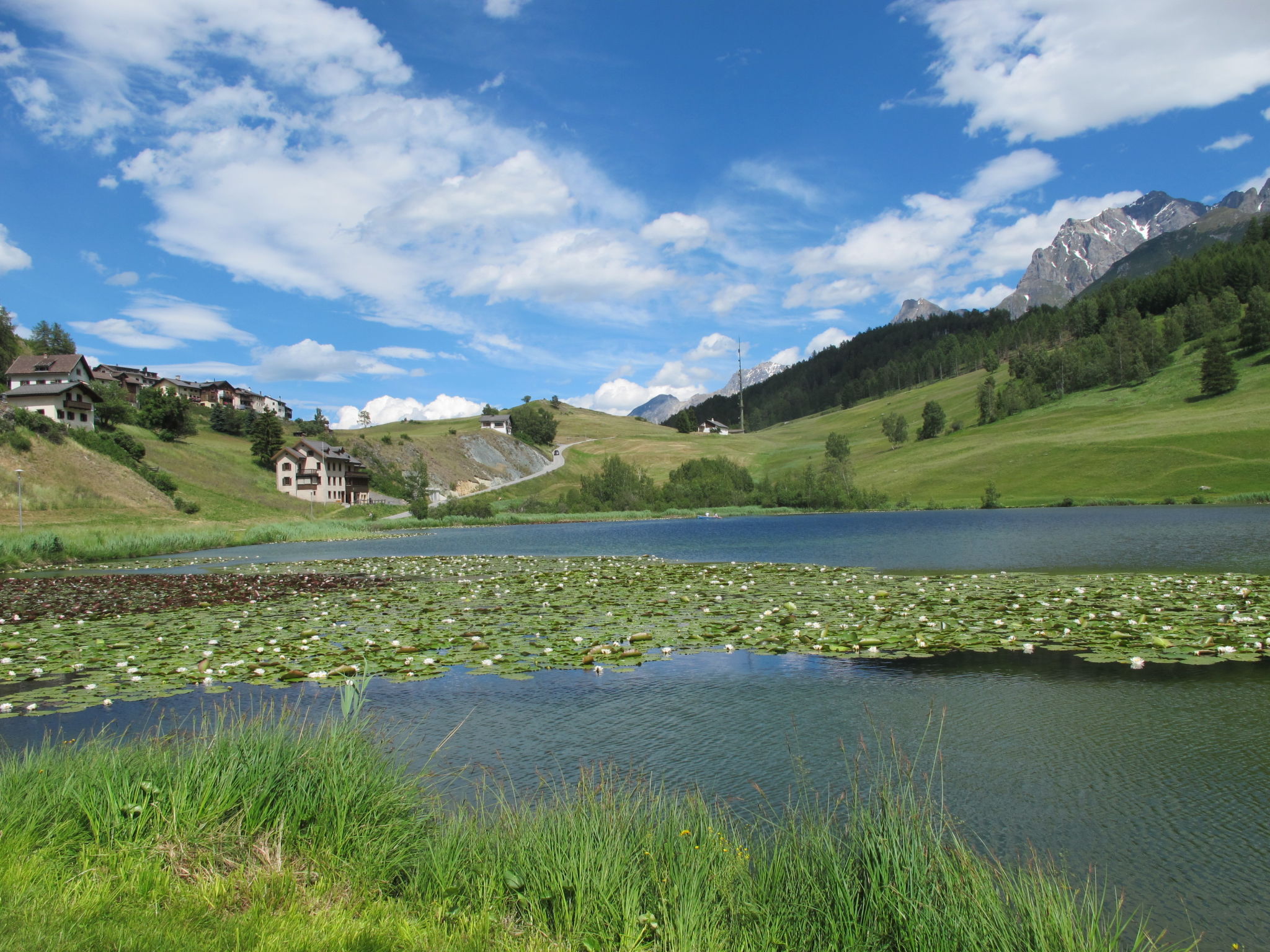 Chasa Soldanella, (Tarasp) - Buiten