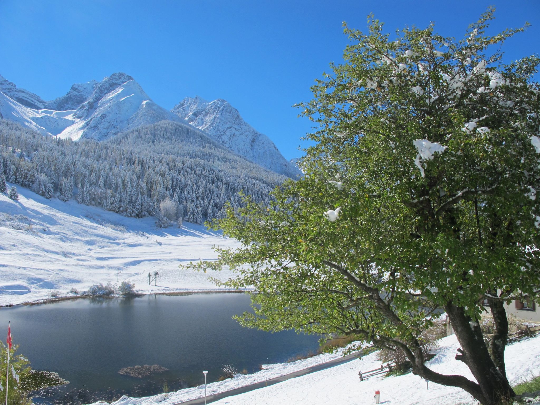 Chasa Soldanella, (Tarasp) - Buiten