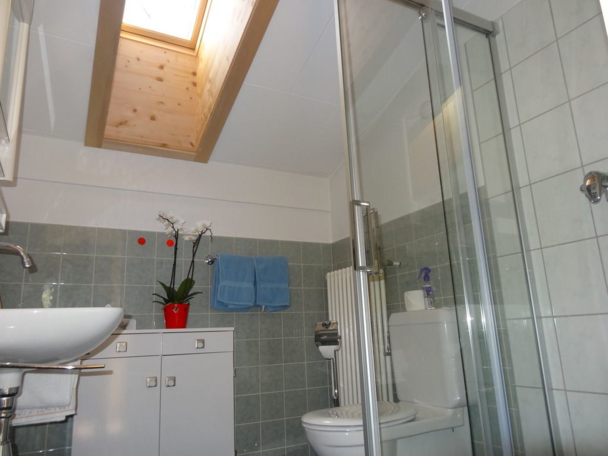 Appartement Forsthaus Falkenstein, (Tarasp) – Salle de bains, photo 8 sur 19
